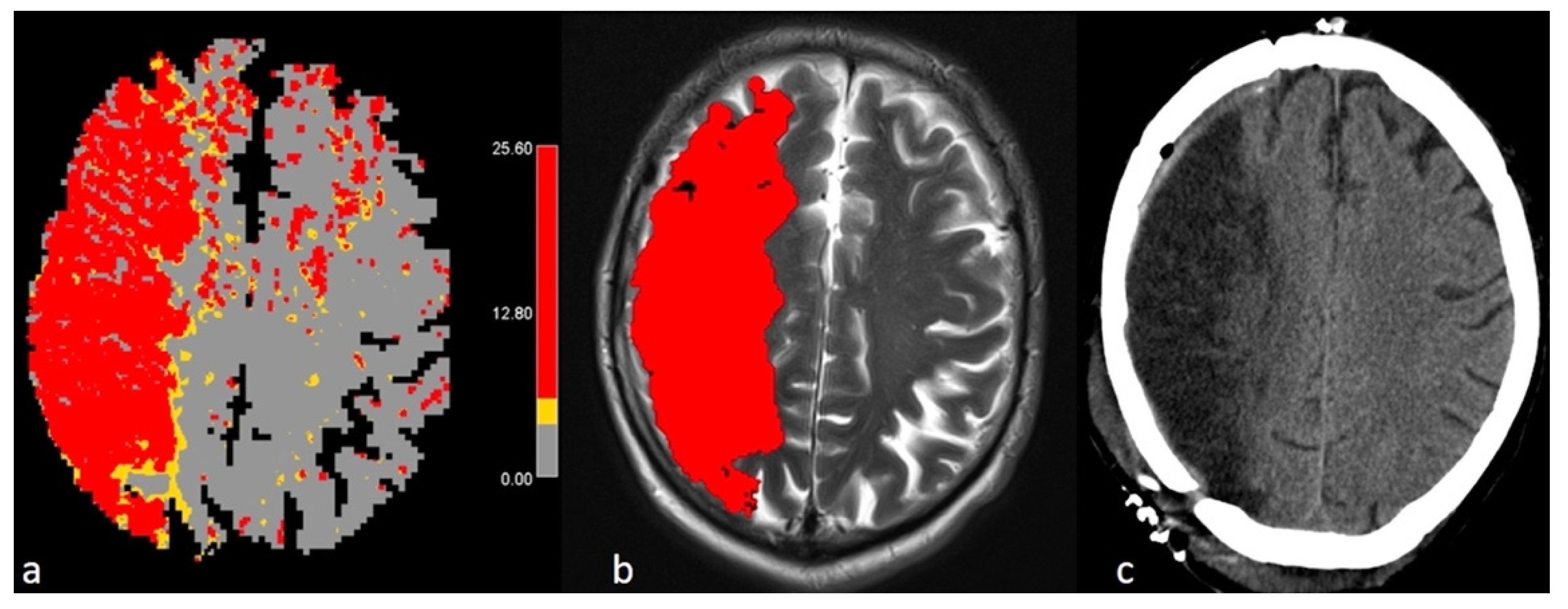 Ctn 05 00021 g001 Ctn 05 00021 g001