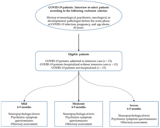 Psychological Tests for Neuropsychological Assessment