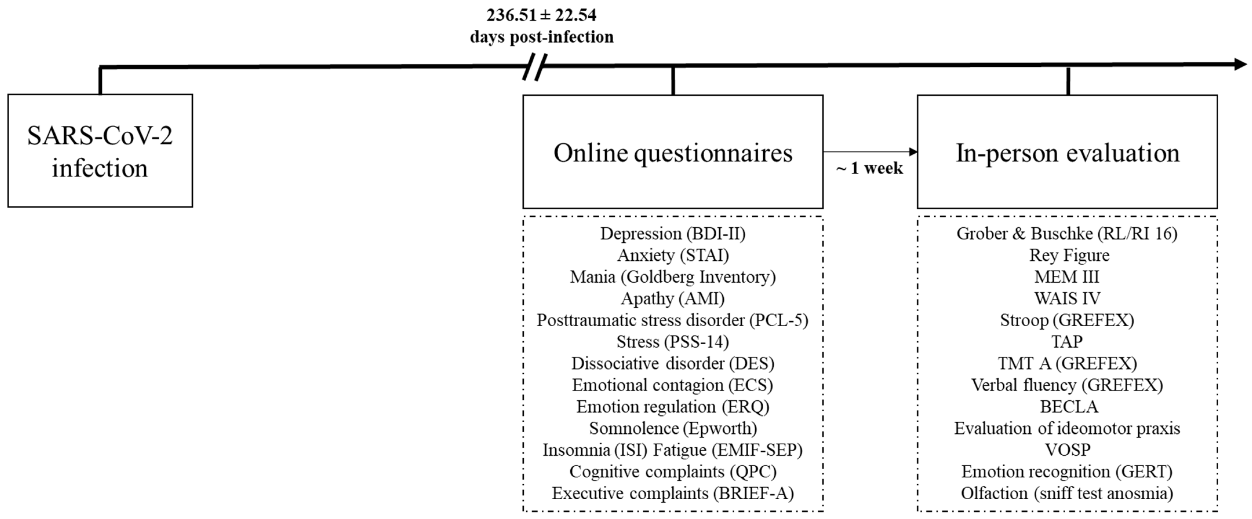 Ctn 06 00009 g002 550