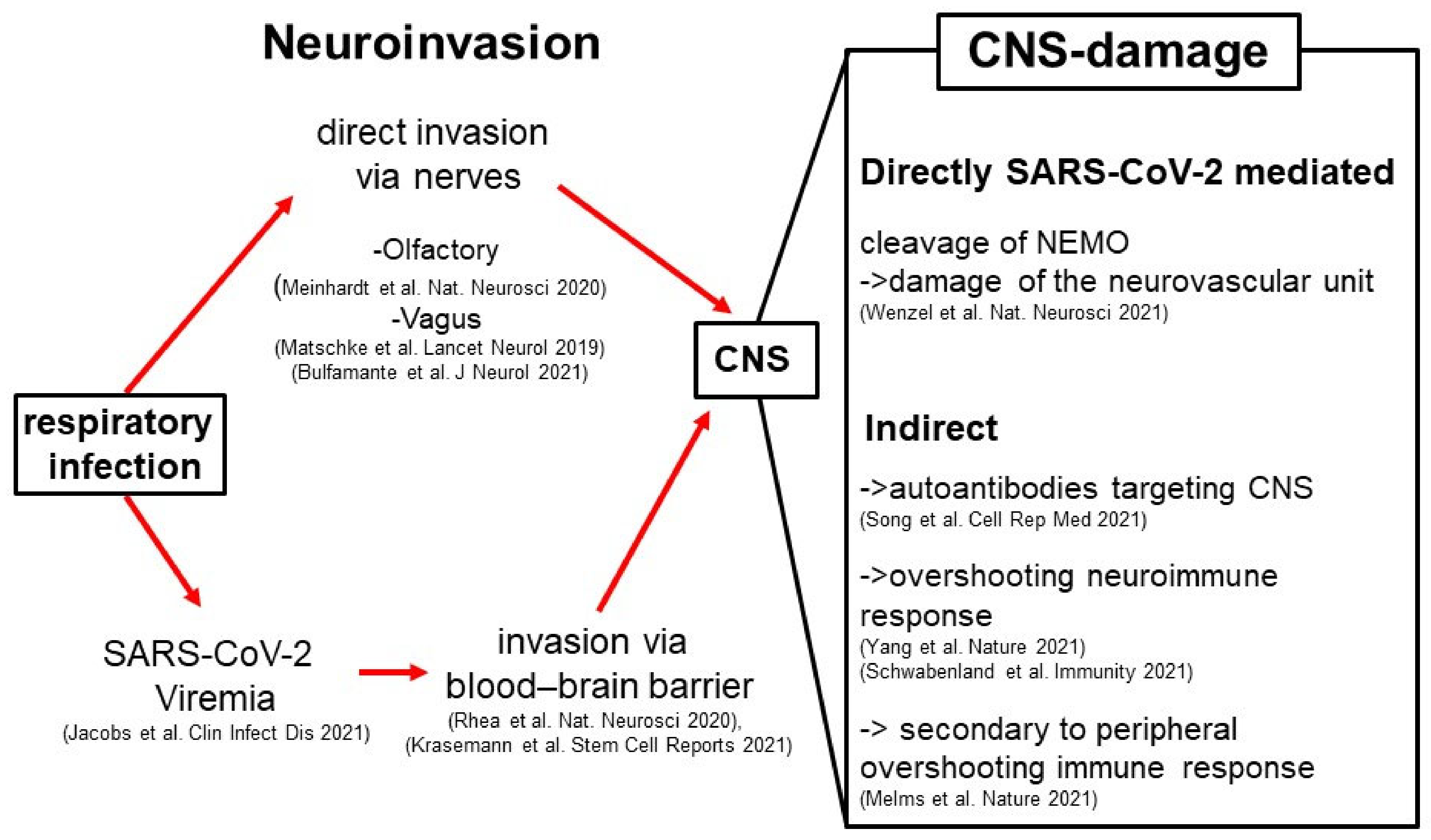 Ctn 06 00010 g001