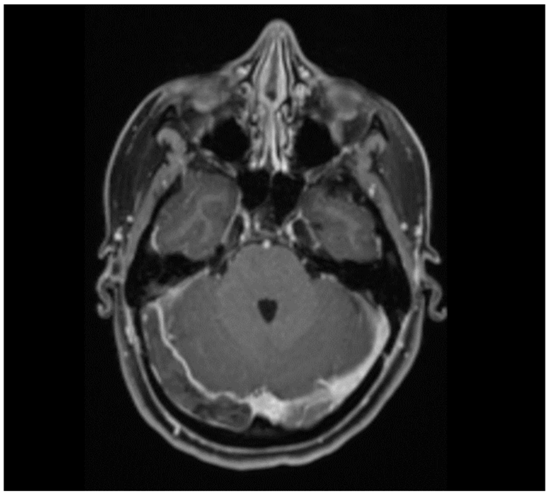 Ctn 06 00011 g001 550