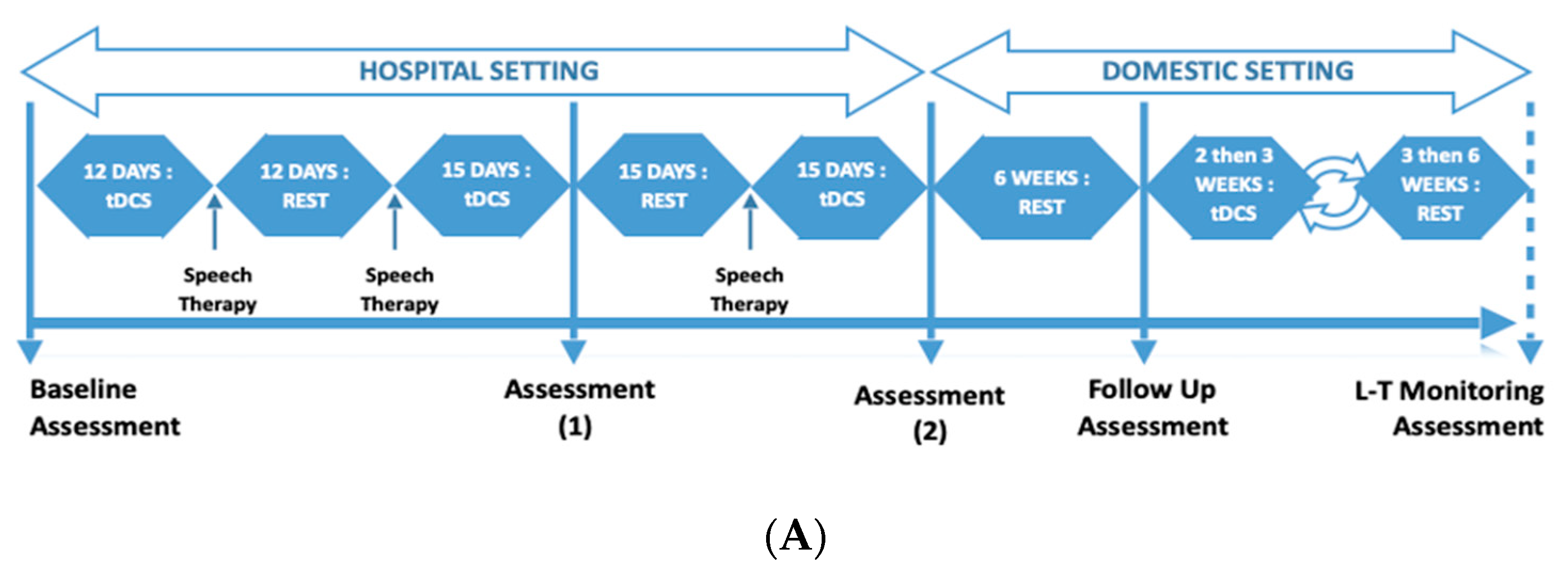 Ctn 06 00017 g001a 550