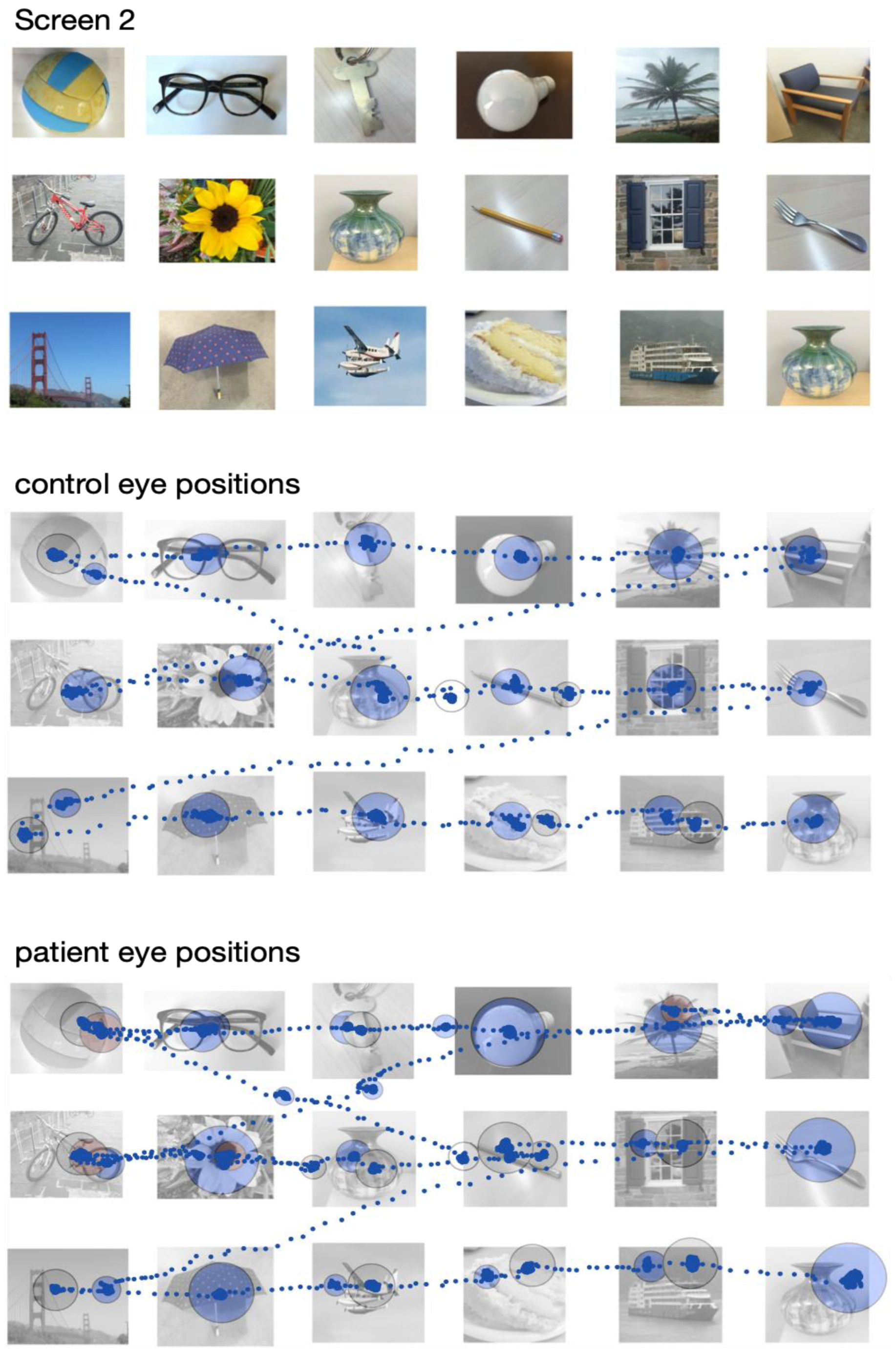 Ctn 06 00018 g002 Ctn 06 00018 g002