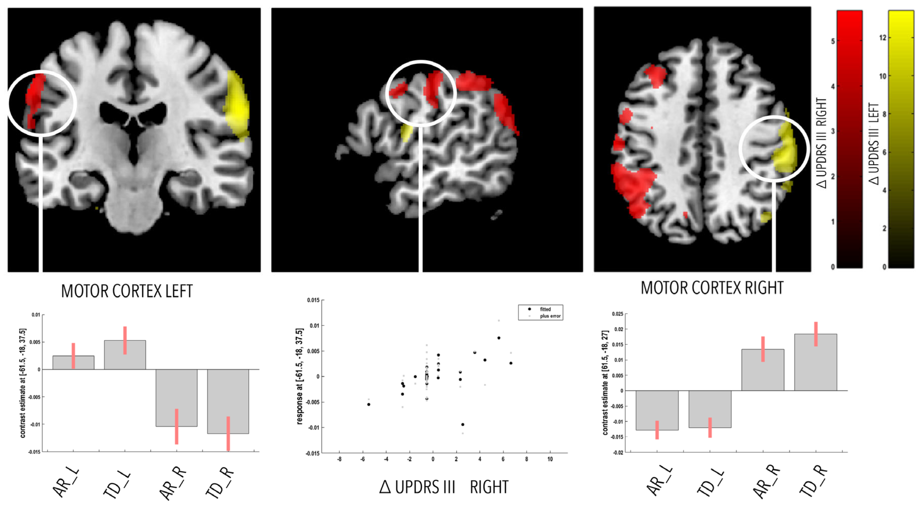 Ctn 07 00008 g002 Ctn 07 00008 g002
