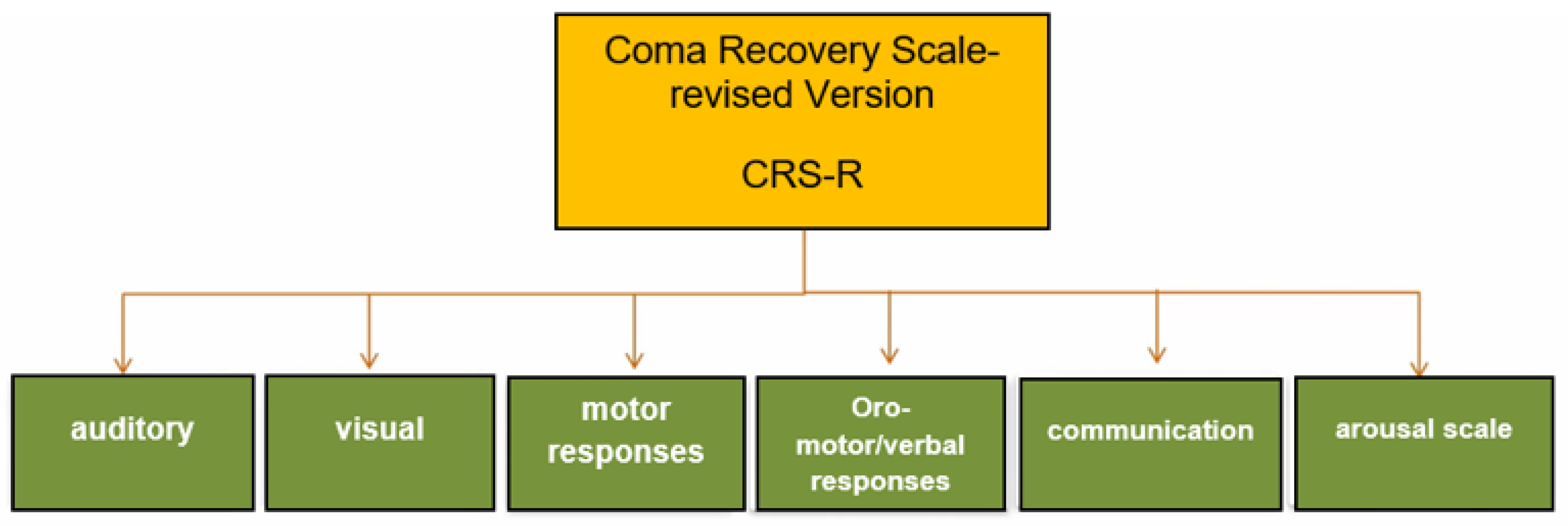 Ctn 07 00021 g001 Ctn 07 00021 g001