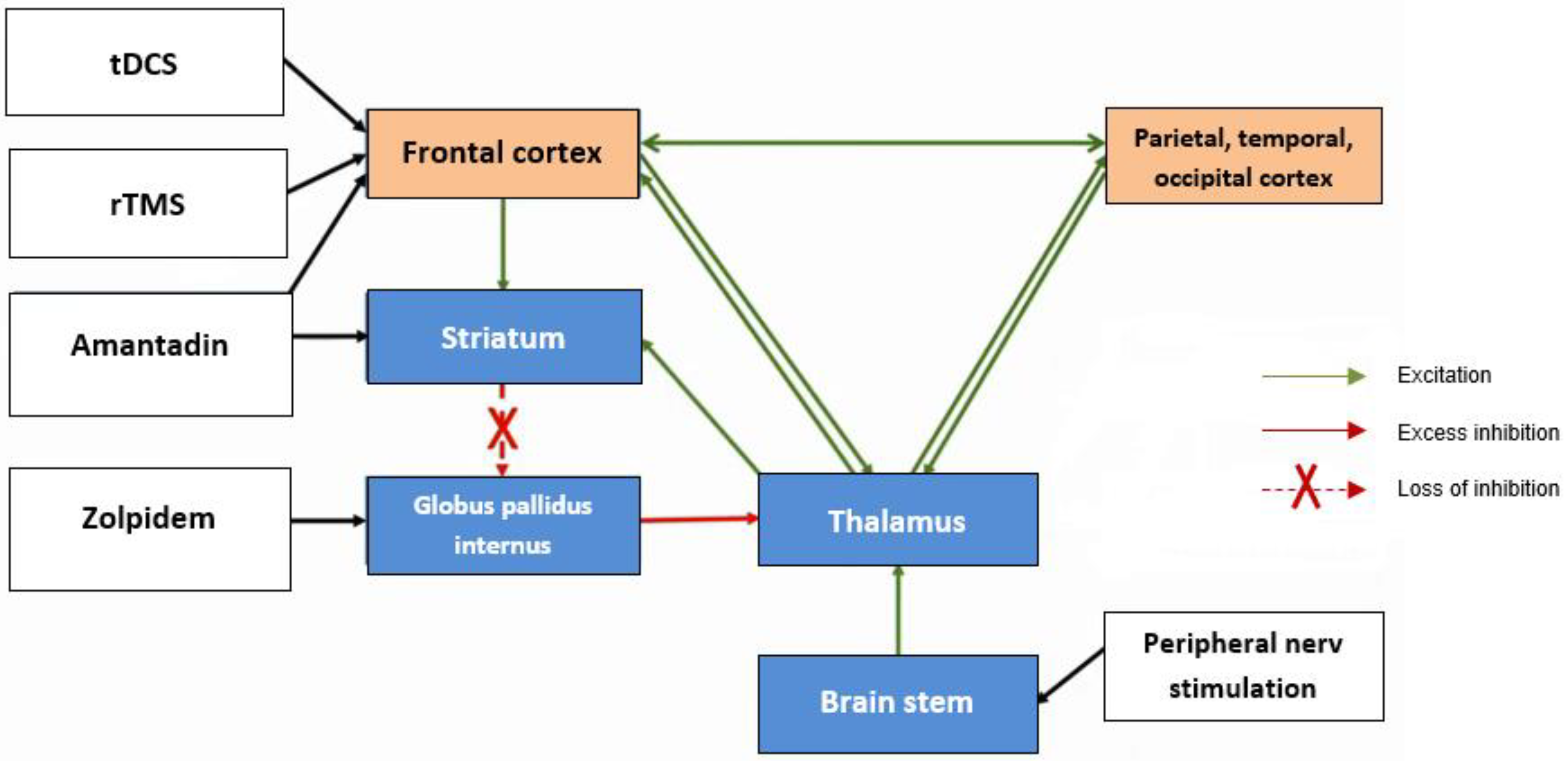 Ctn 07 00021 g002 Ctn 07 00021 g002