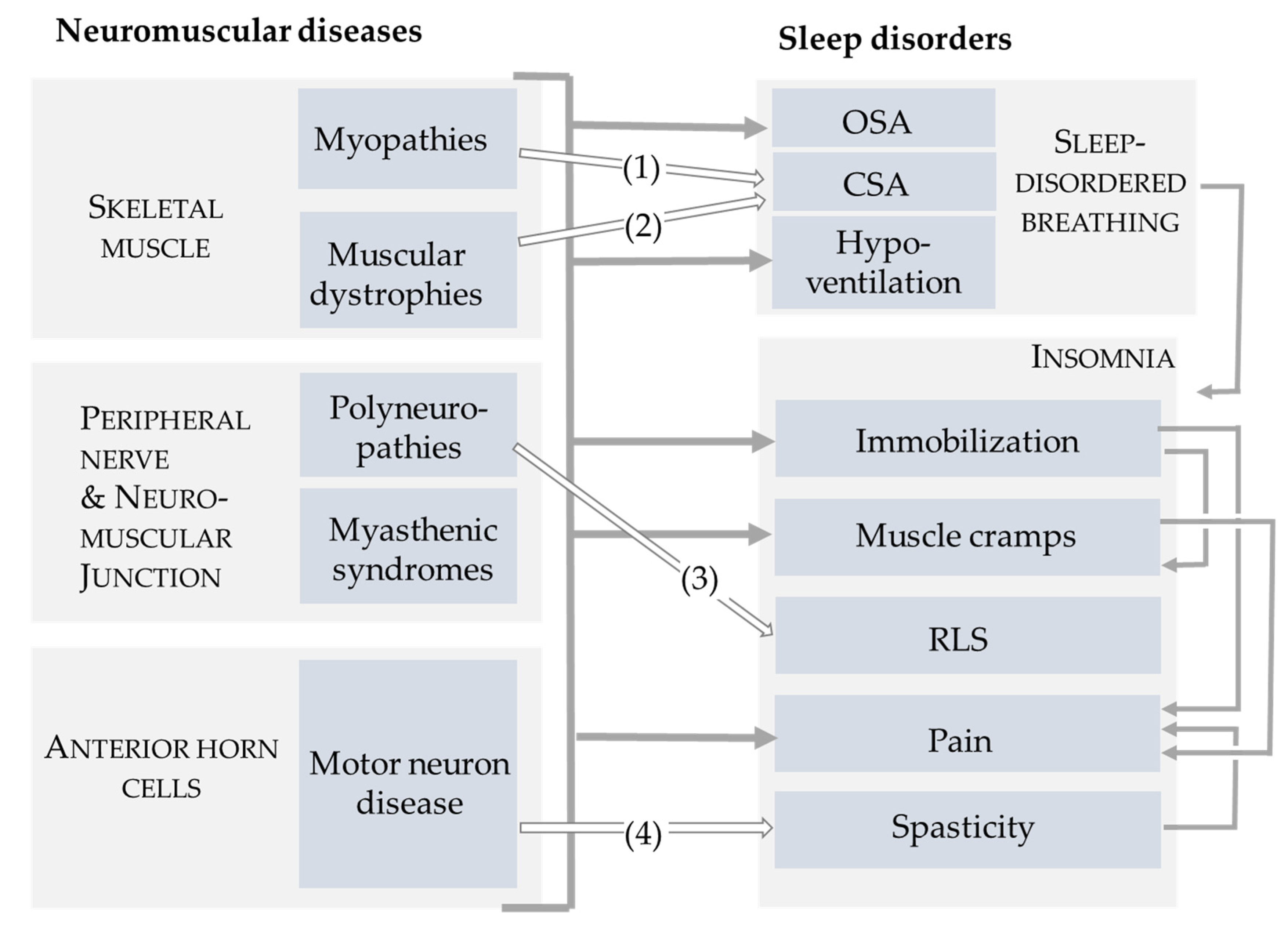 Grey Turner's Sign, Overview, Causes & Treatment - Video & Lesson  Transcript