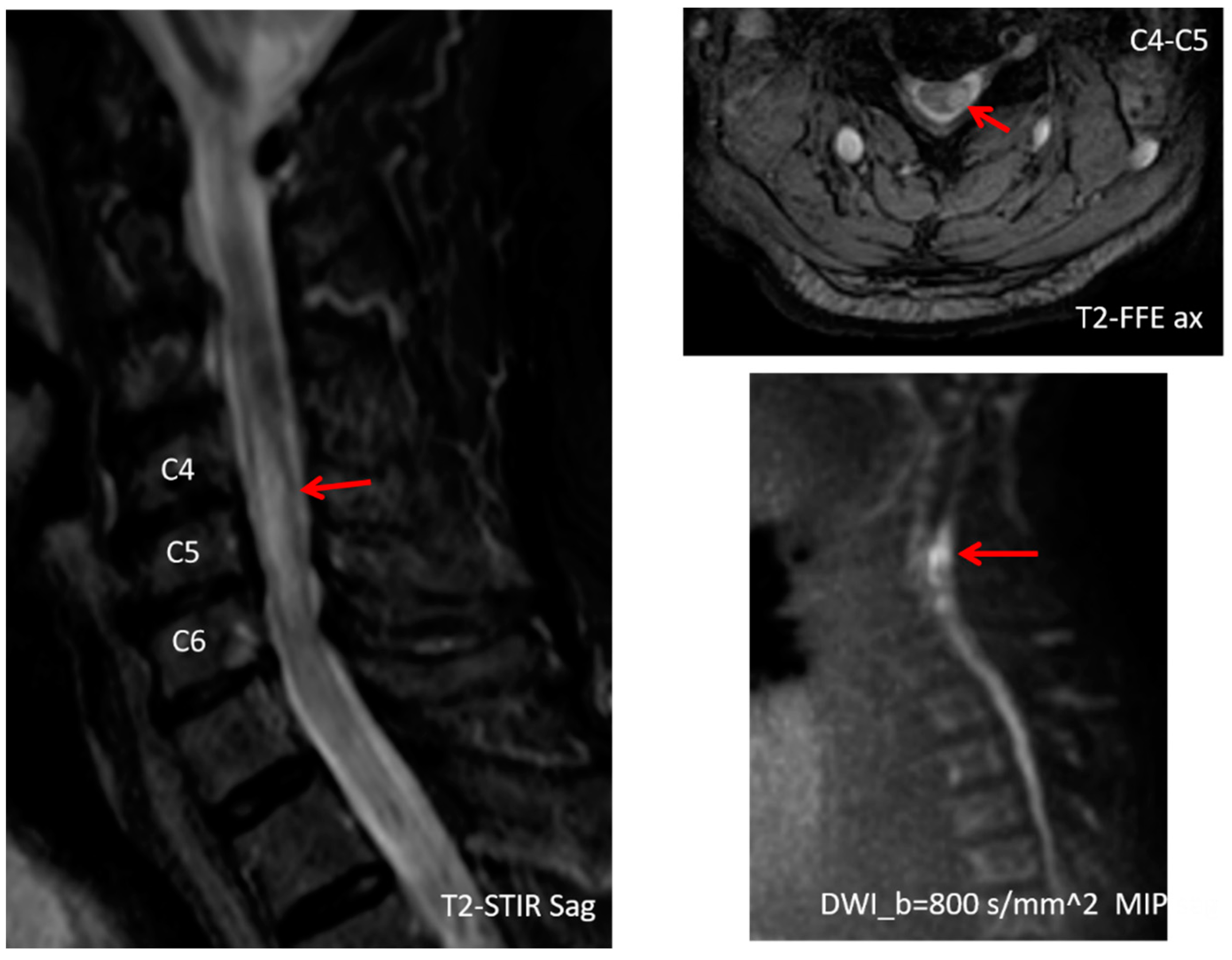 Ctn 07 00026 g001 Ctn 07 00026 g001