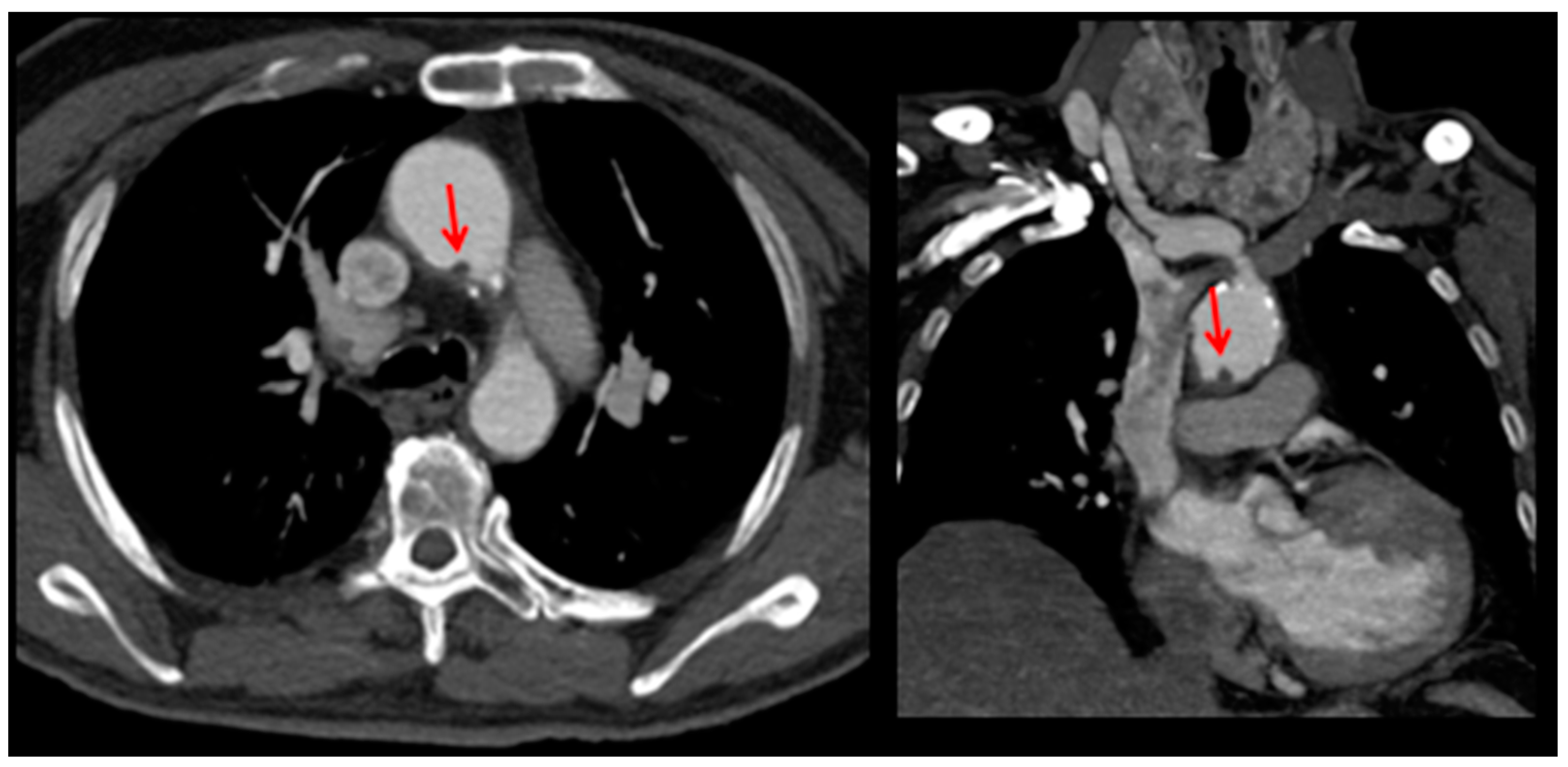 Ctn 07 00026 g003 Ctn 07 00026 g003