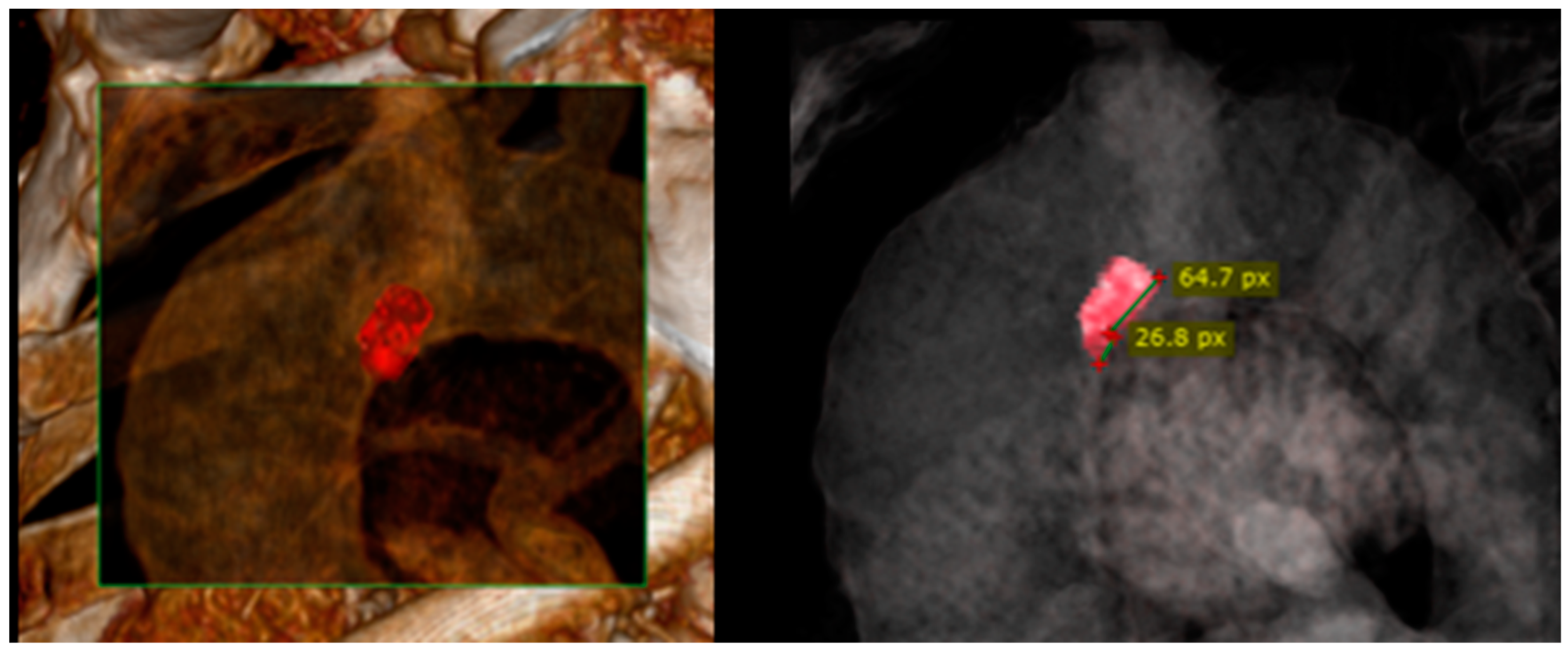 Ctn 07 00026 g004 Ctn 07 00026 g004