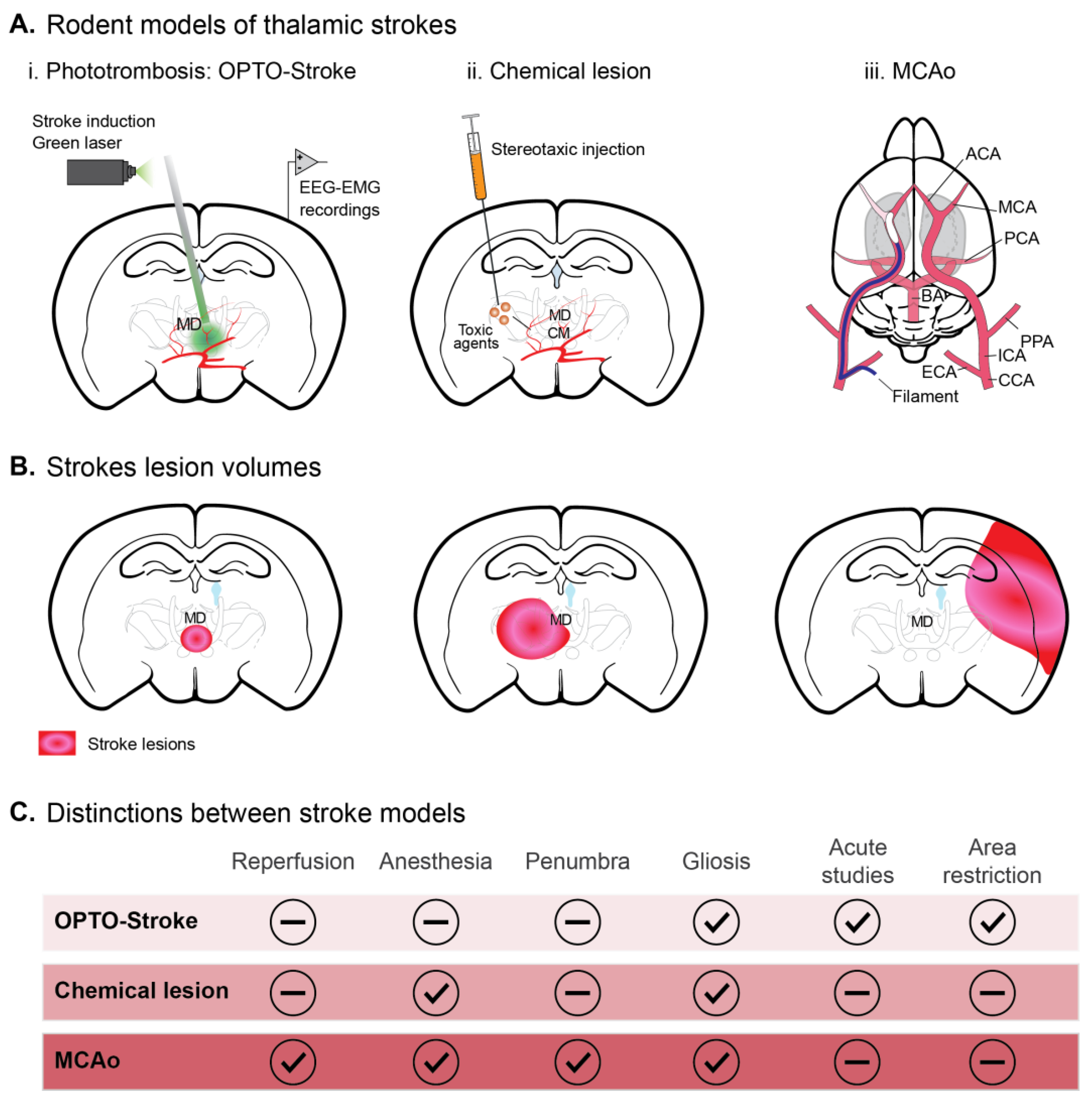 Ctn 07 00036 g002 Ctn 07 00036 g002