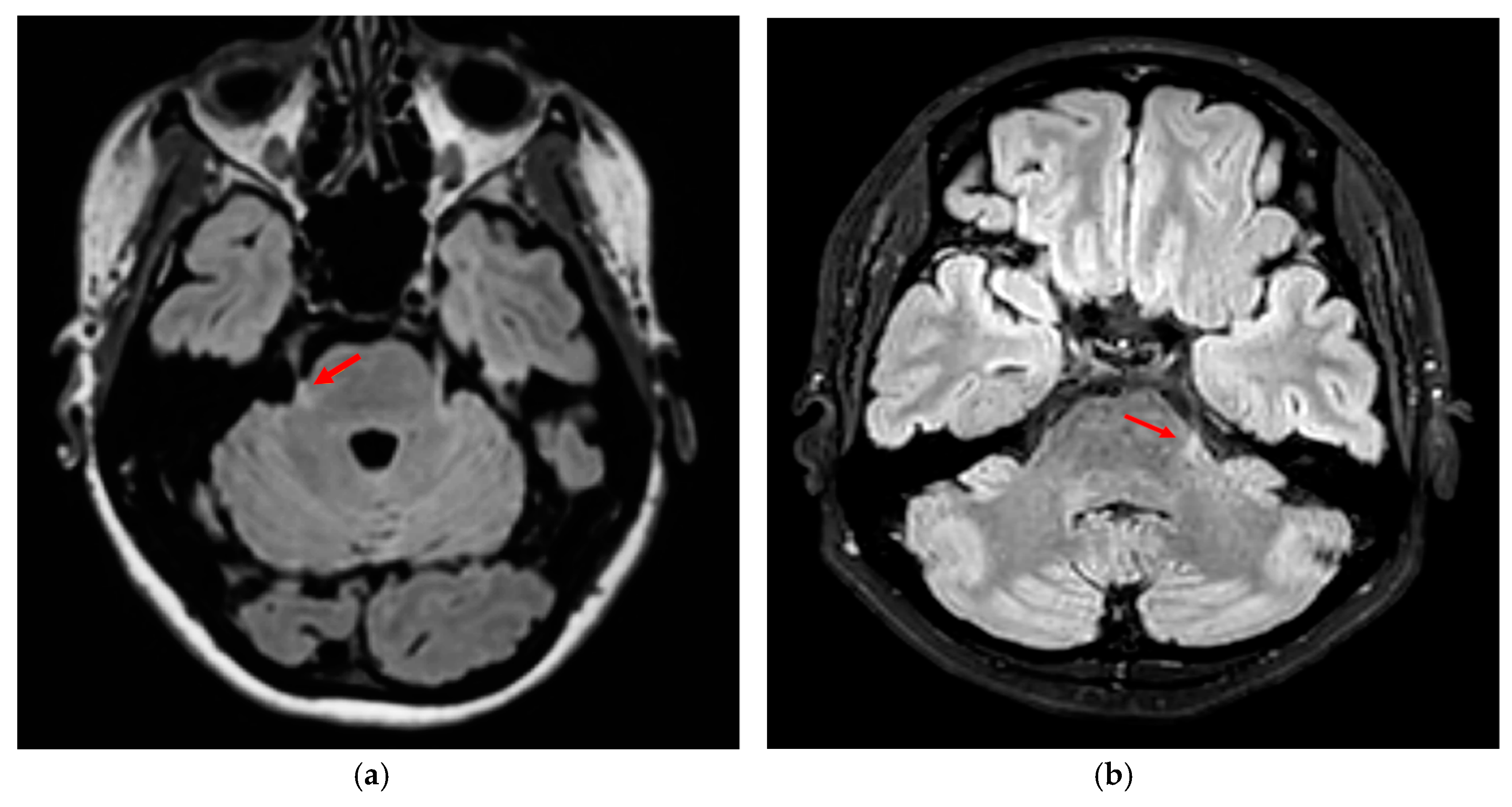 Ctn 09 00016 g001 Ctn 09 00016 g001