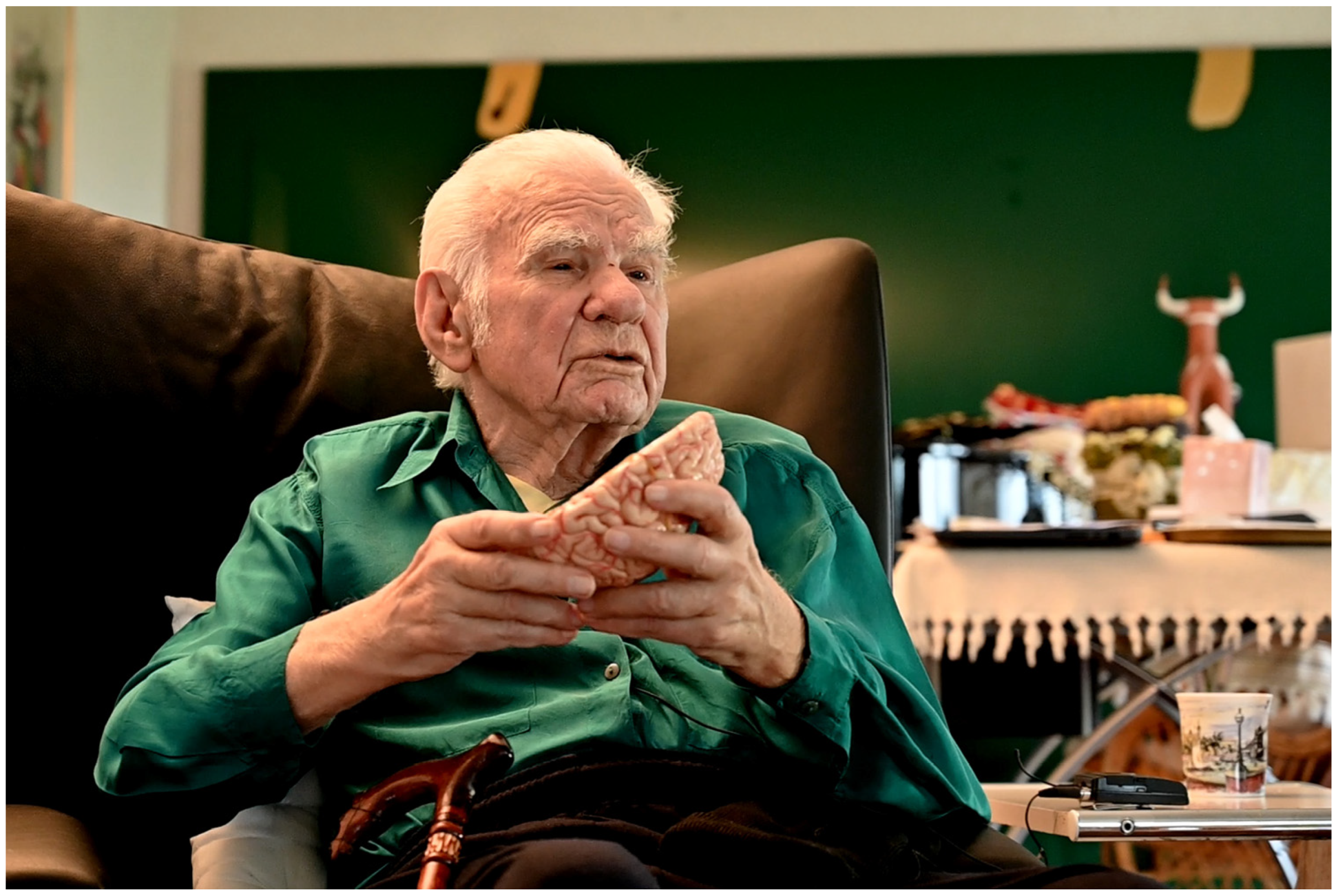 Ctn 09 00036 g001 Ctn 09 00036 g001