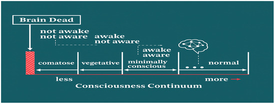 The Spectrum of Consciousness on the Borders of Life and Death