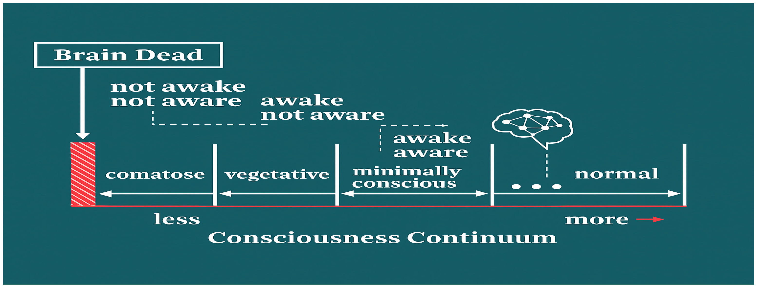 Ctn 09 00048 g001 Ctn 09 00048 g001