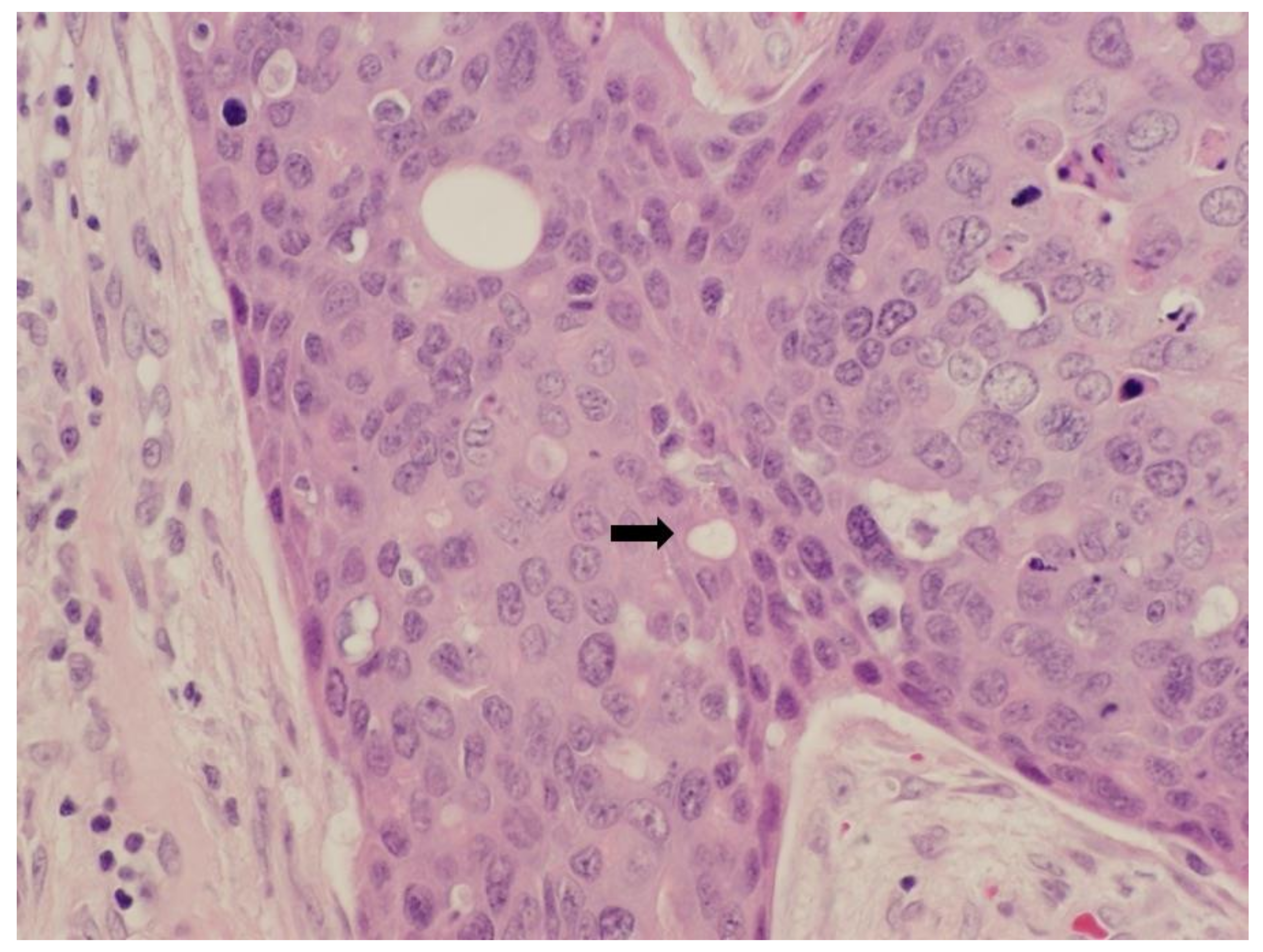 Curroncol 28 00024 g001