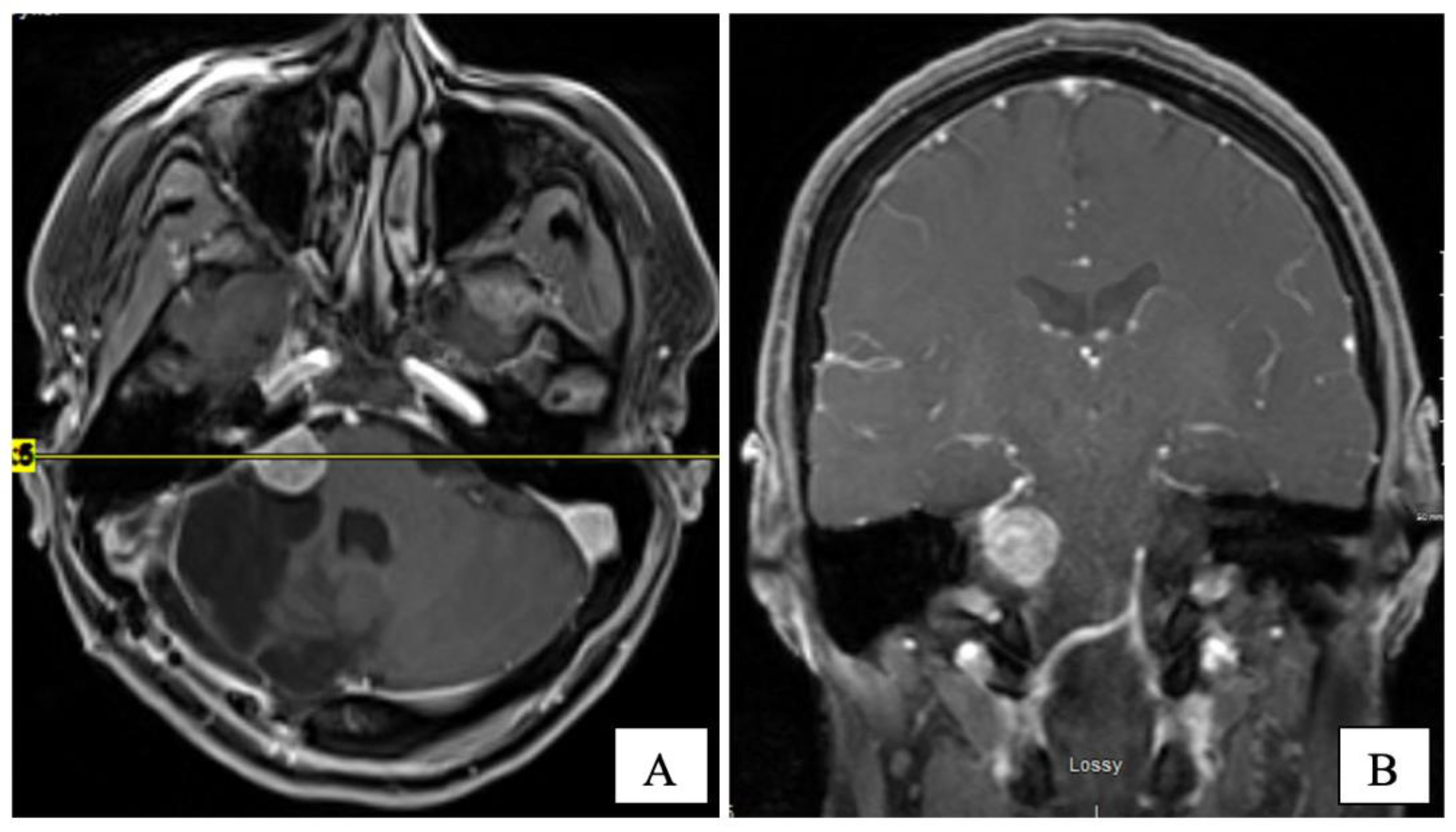 Curroncol 28 00073 g003