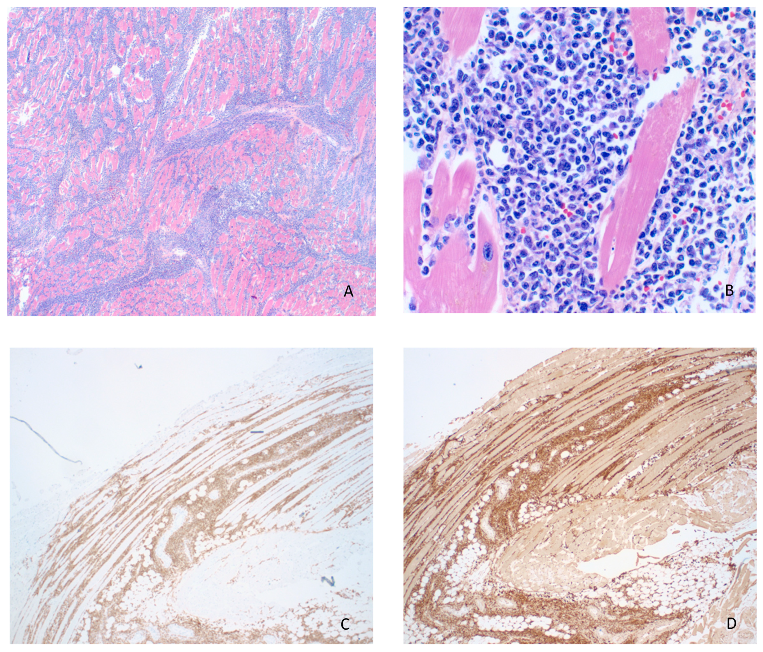 Curroncol 28 00079 g002 Curroncol 28 00079 g002