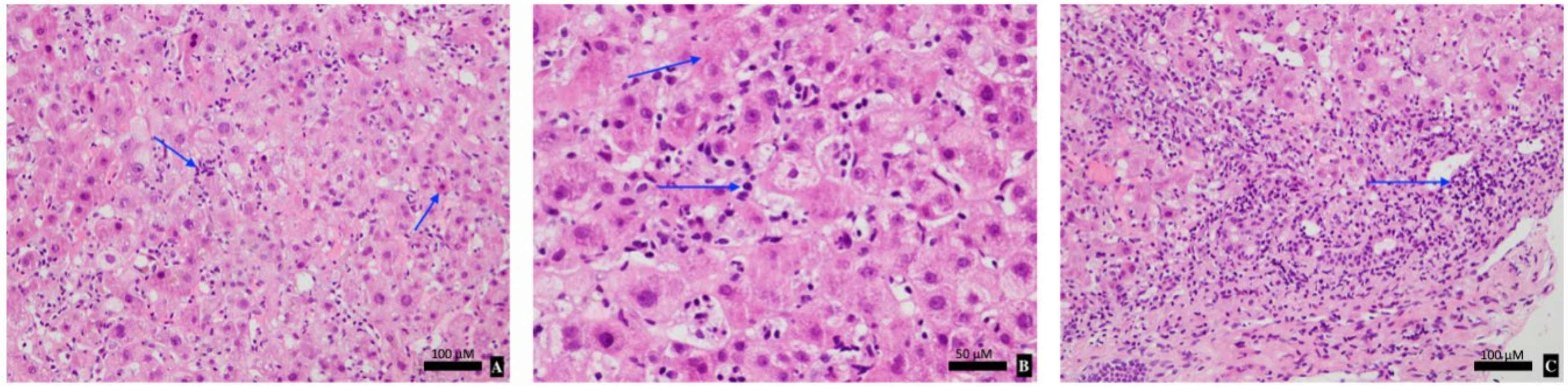 Curroncol 28 00088 g001