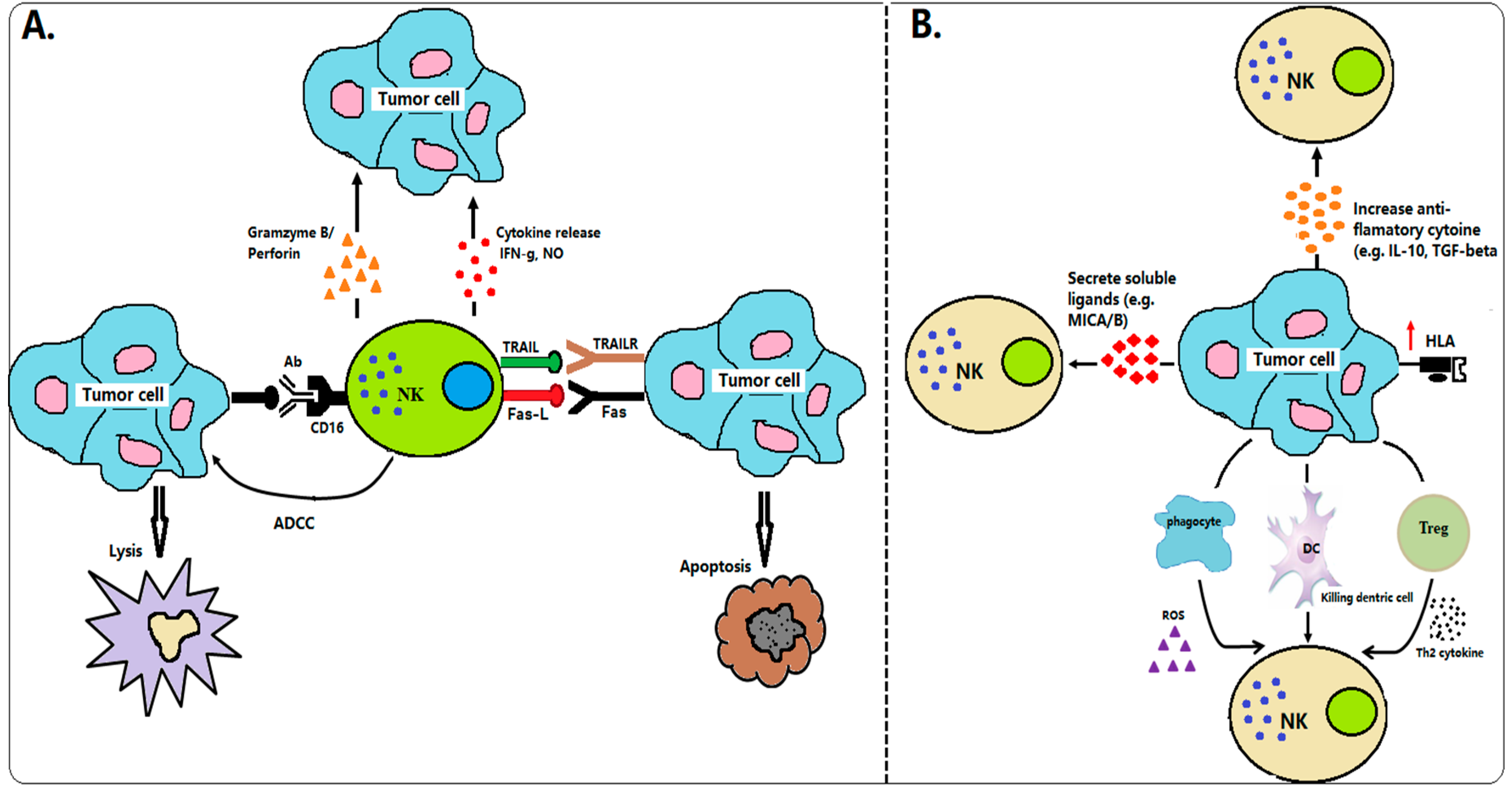 Current Oncology Free Full Text The Advances And Challenges Of Nk Cell Based Cancer Immunotherapy Html