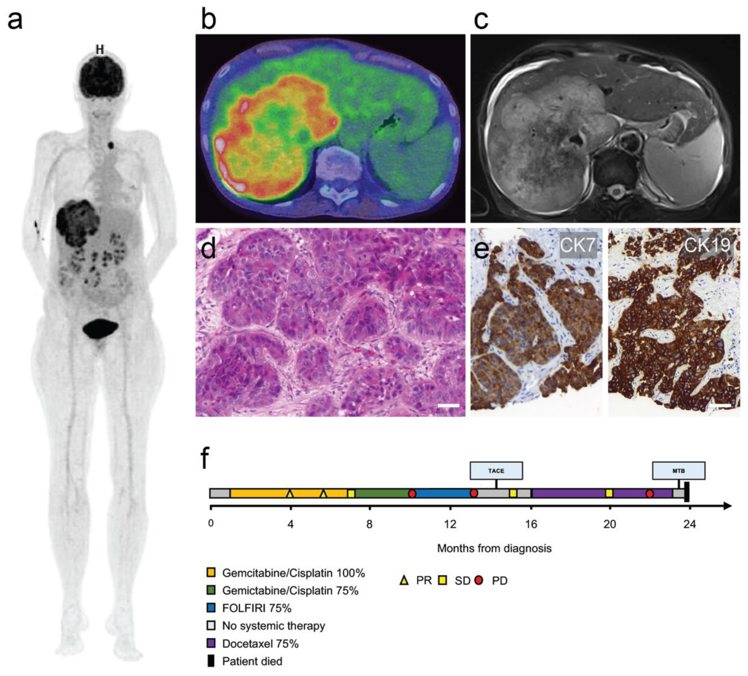 Curroncol 28 00112 g001 Curroncol 28 00112 g001