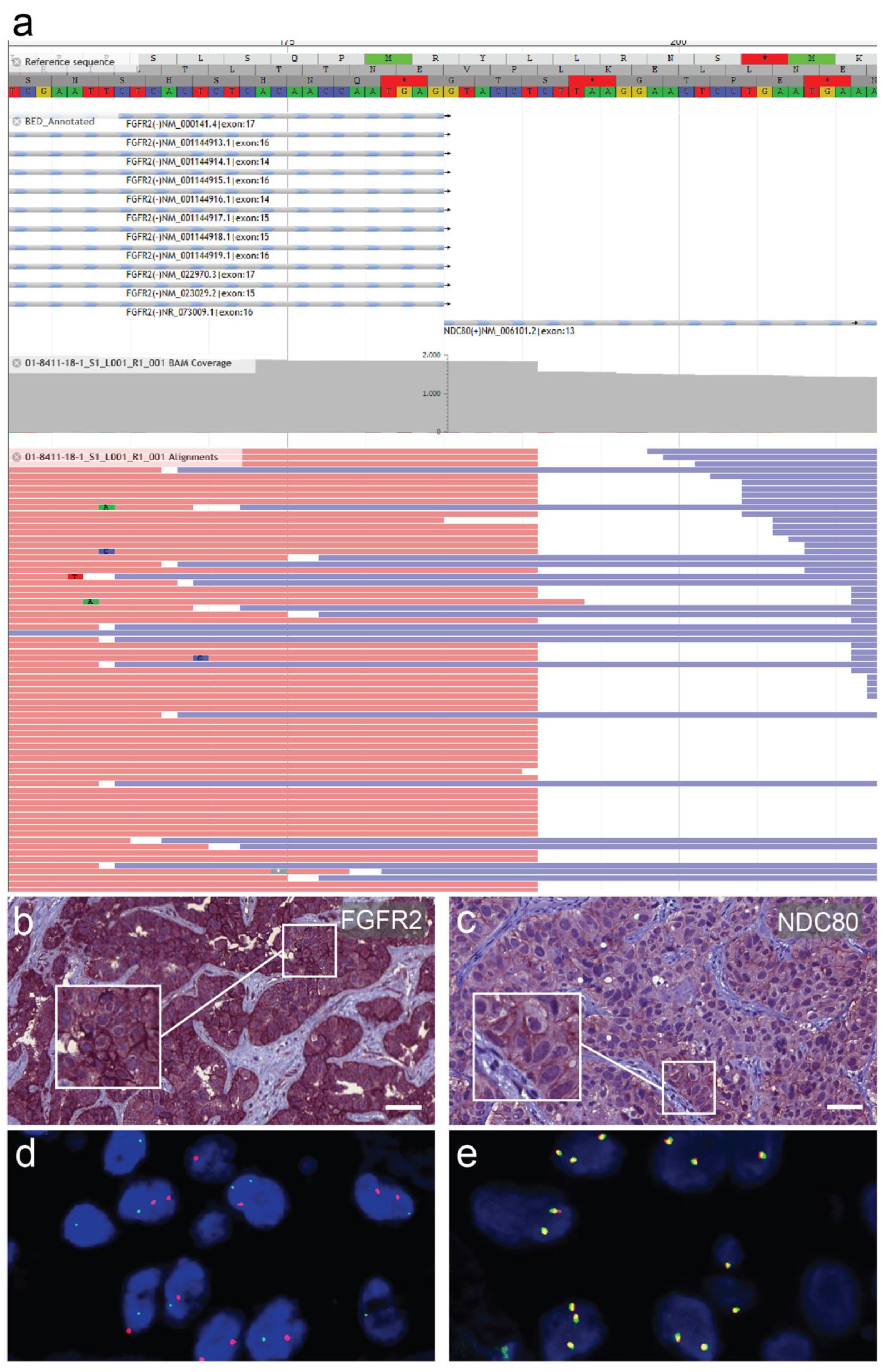 Curroncol 28 00112 g002 Curroncol 28 00112 g002