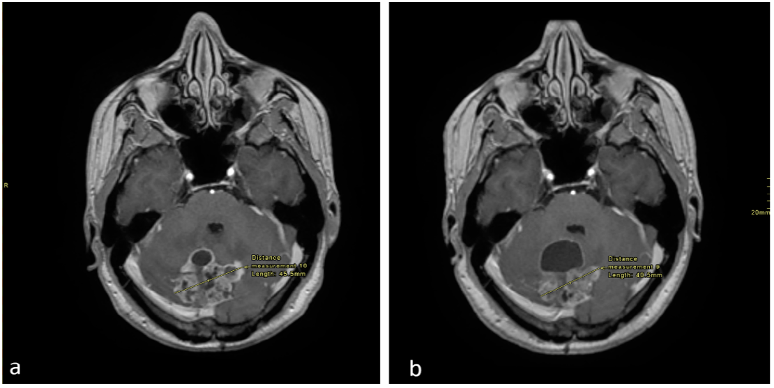 Curroncol 28 00121 g001