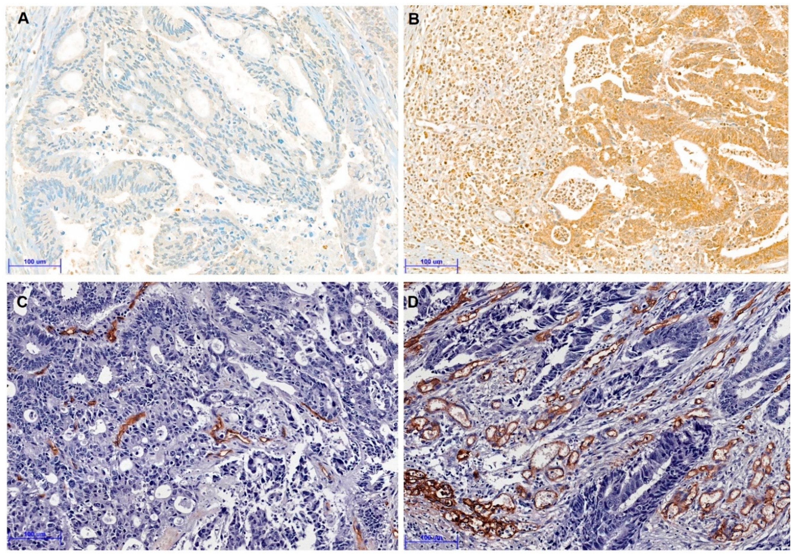 Curroncol 28 00125 g002 Curroncol 28 00125 g002