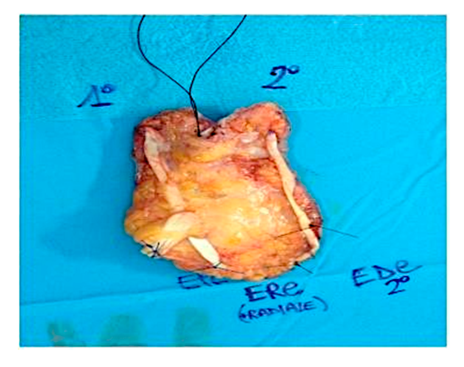 Curroncol 28 00160 g002