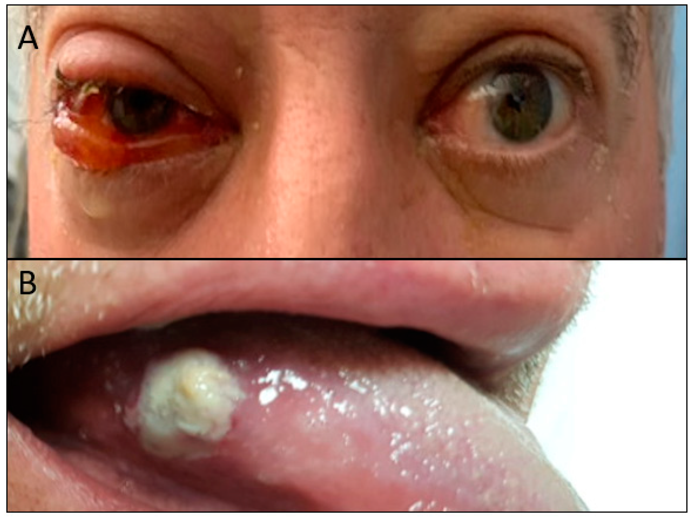 Curroncol 28 00162 g001