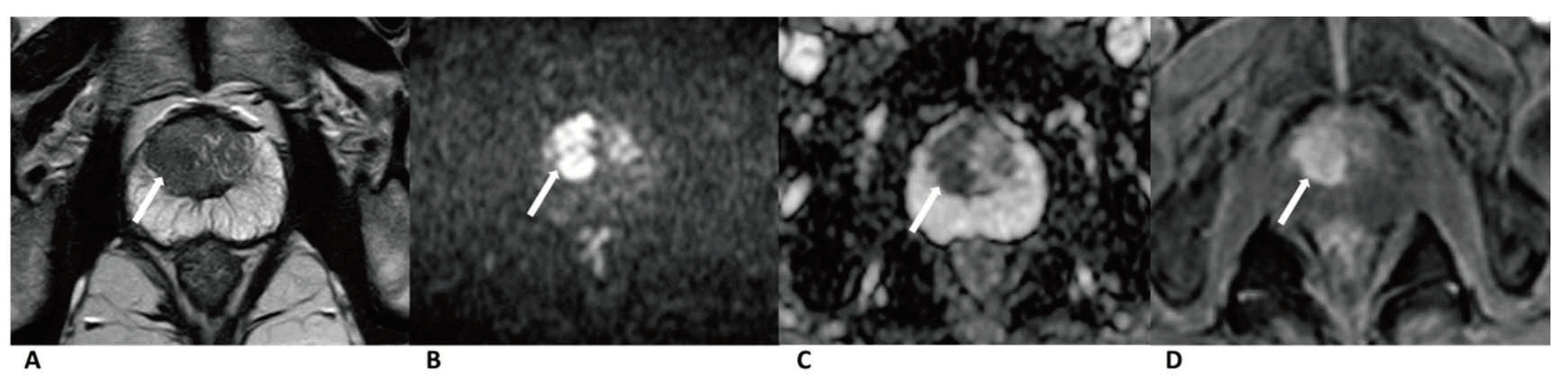 Curroncol 28 00169 g003