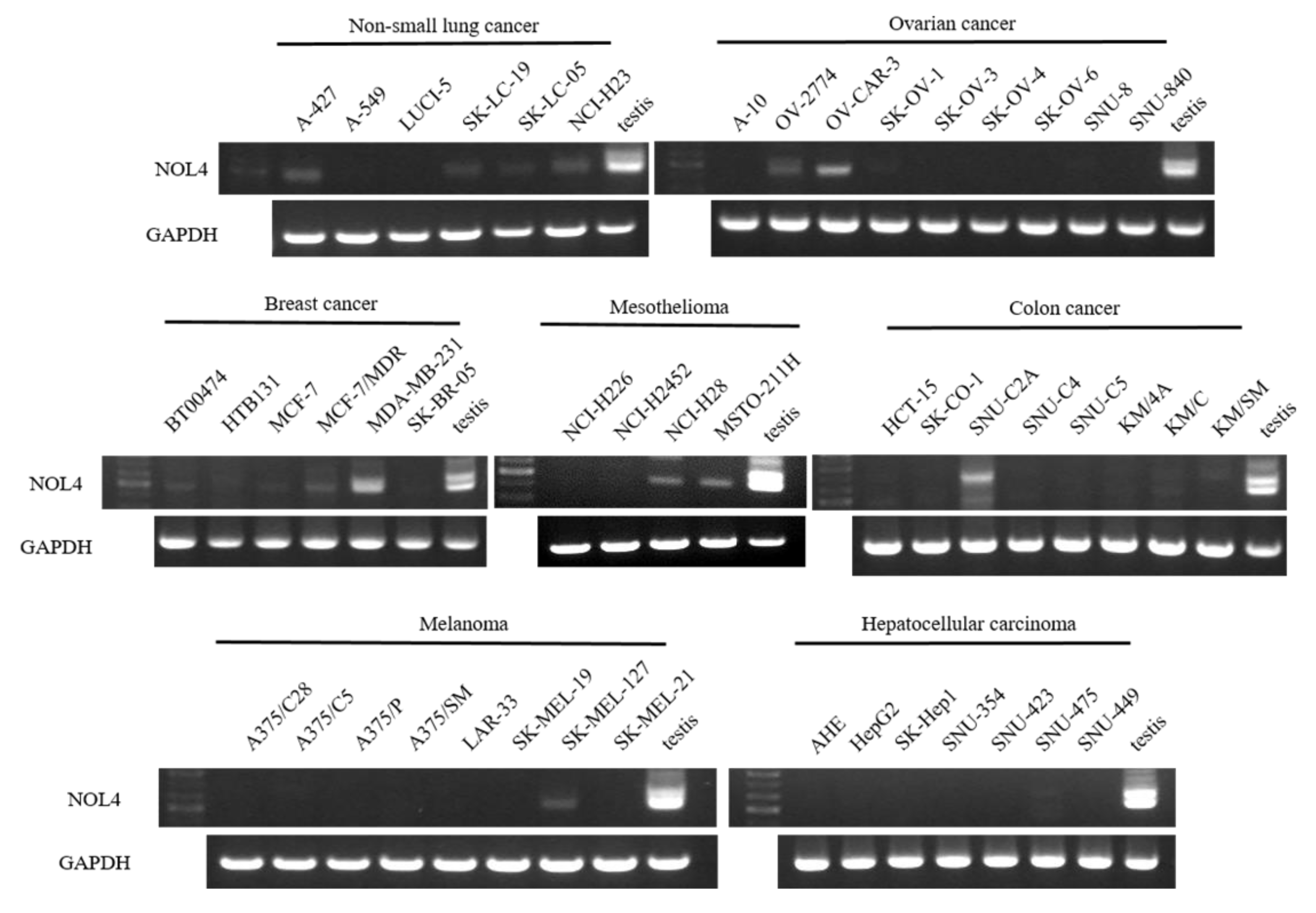 Curroncol 28 00179 g002 Curroncol 28 00179 g002