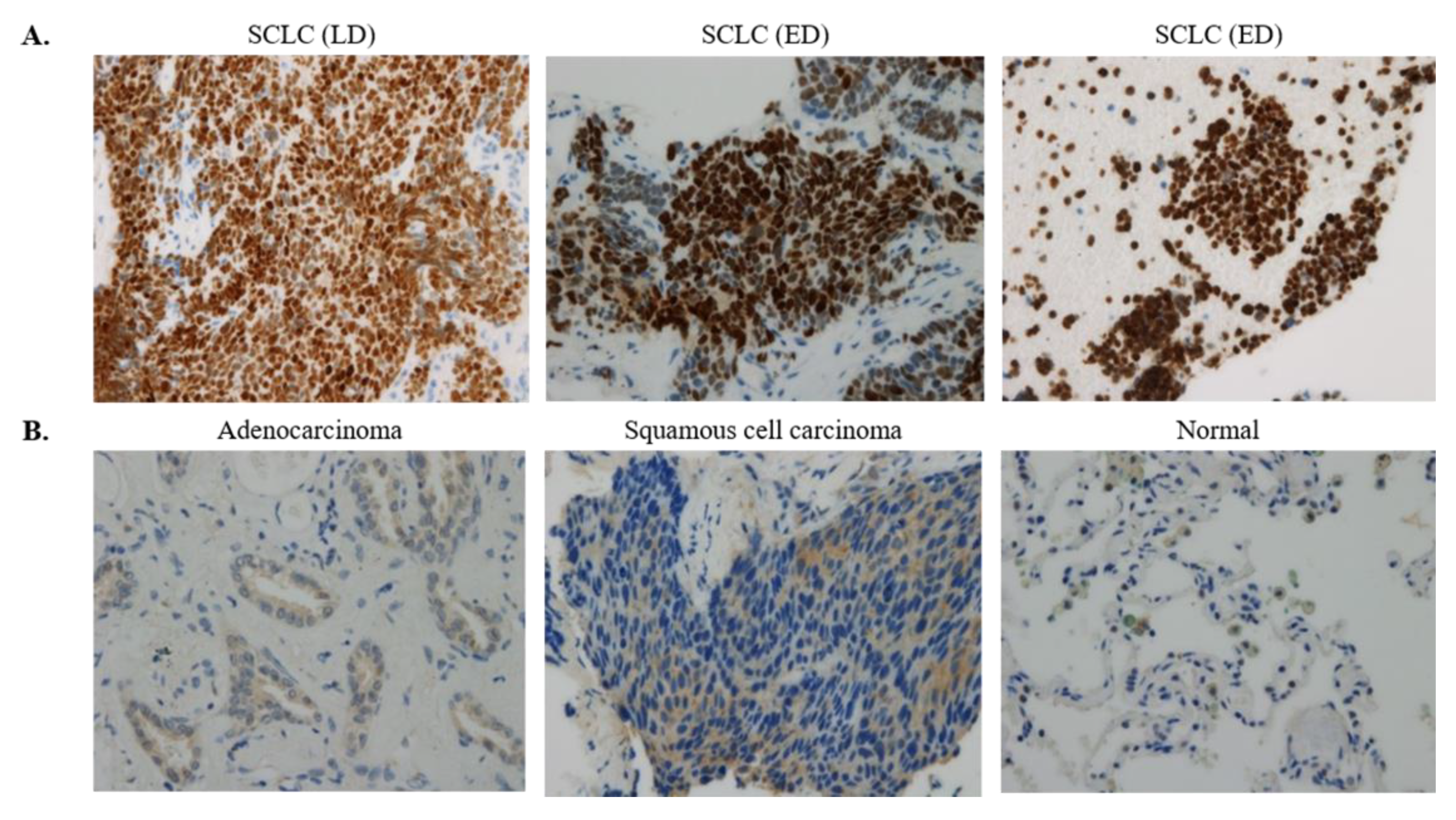 Curroncol 28 00179 g003 Curroncol 28 00179 g003