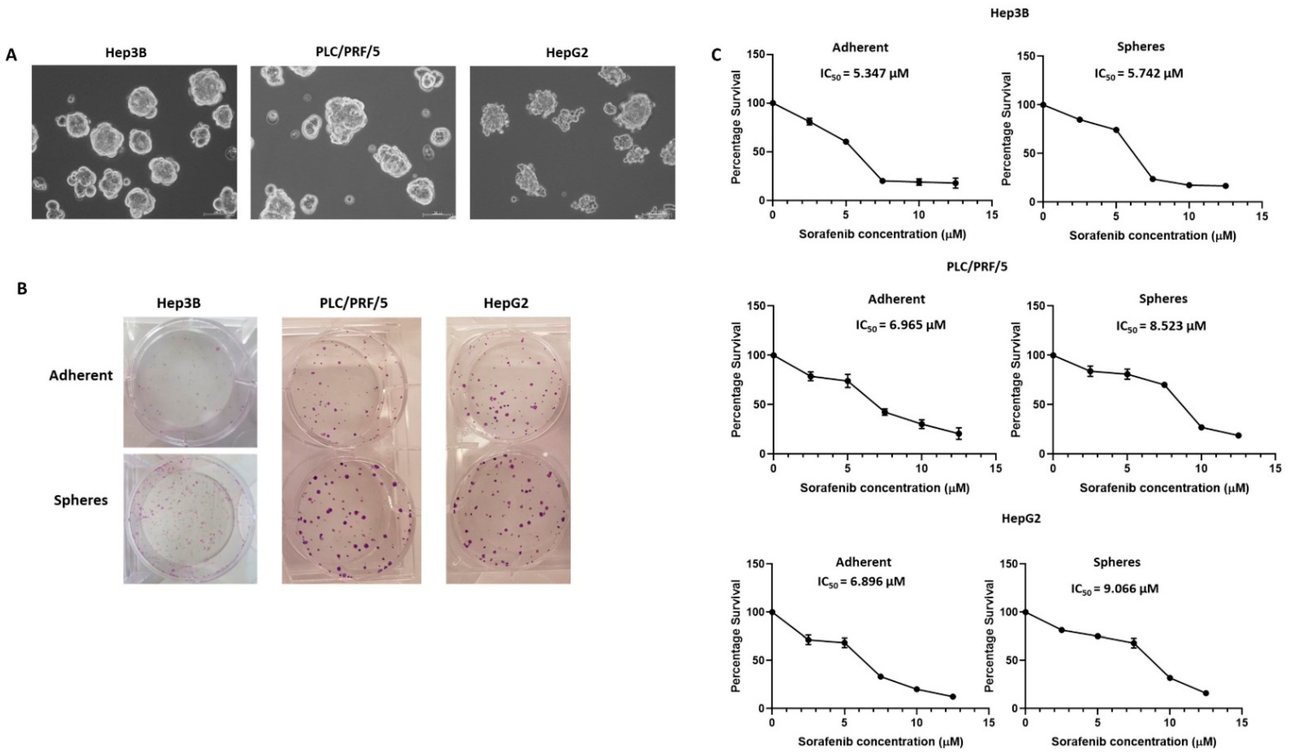 Curroncol 28 00200 g001 Curroncol 28 00200 g001