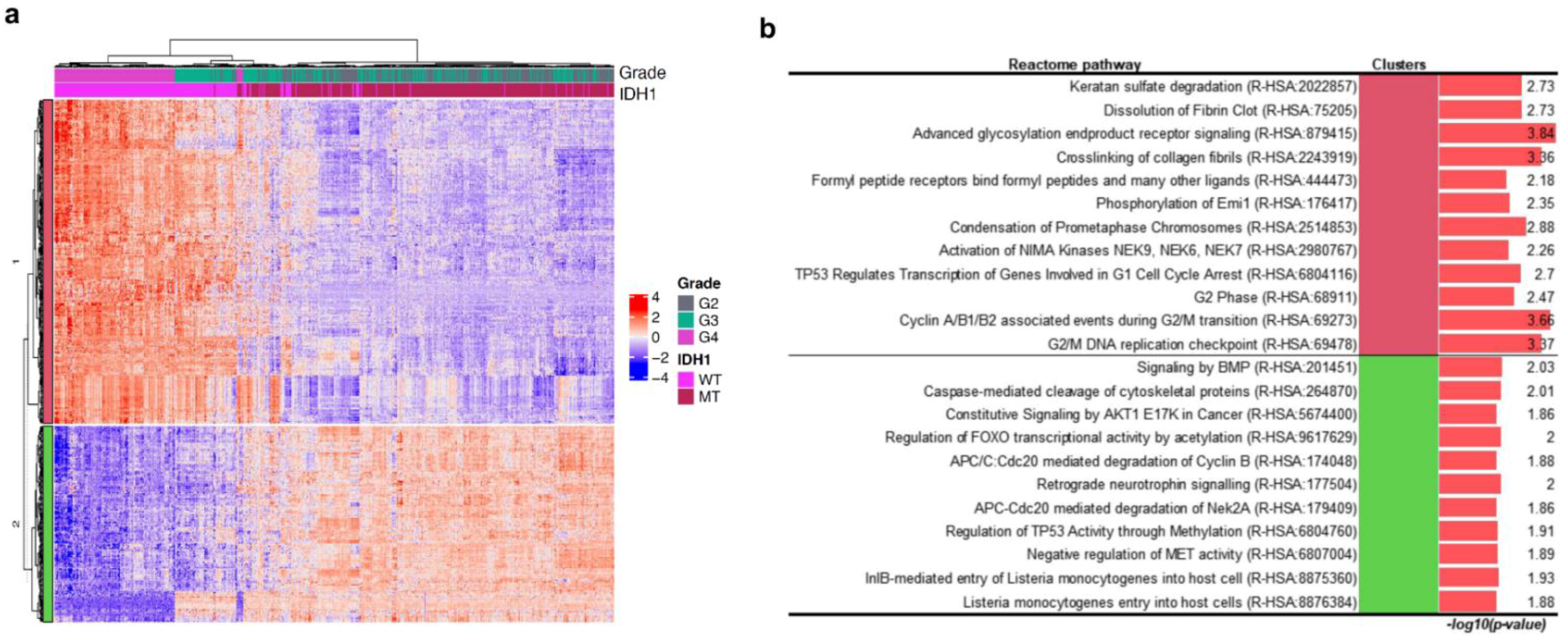 Curroncol 28 00210 g003