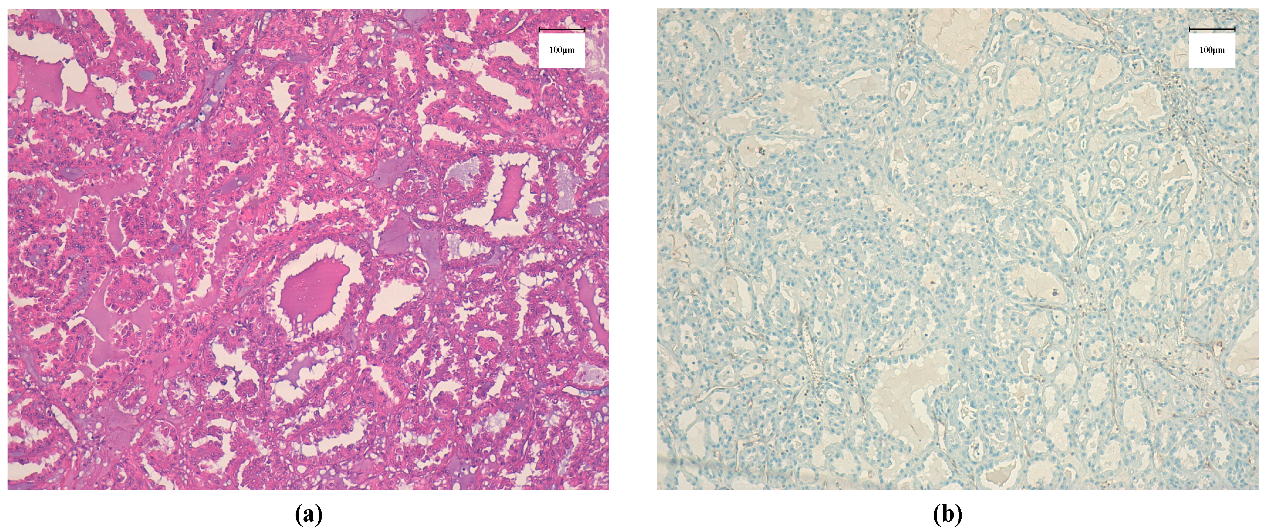 Curroncol 28 00216 g002