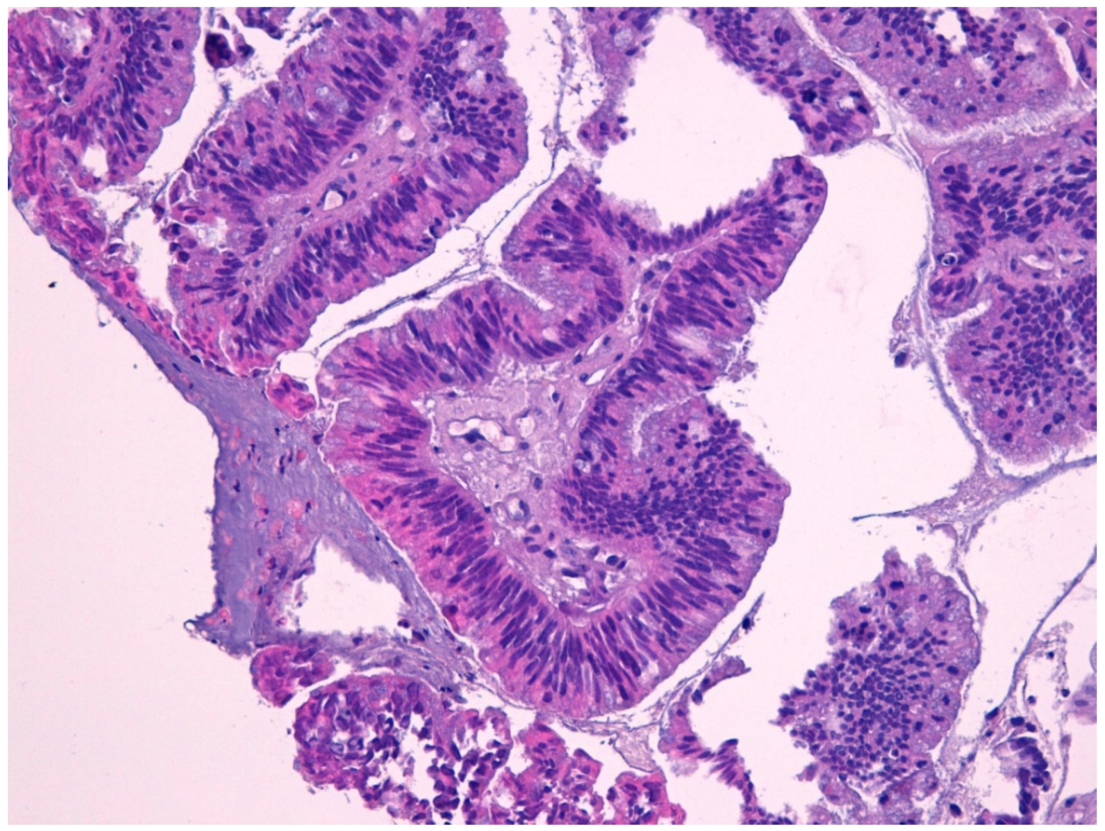 Curroncol 28 00222 g002