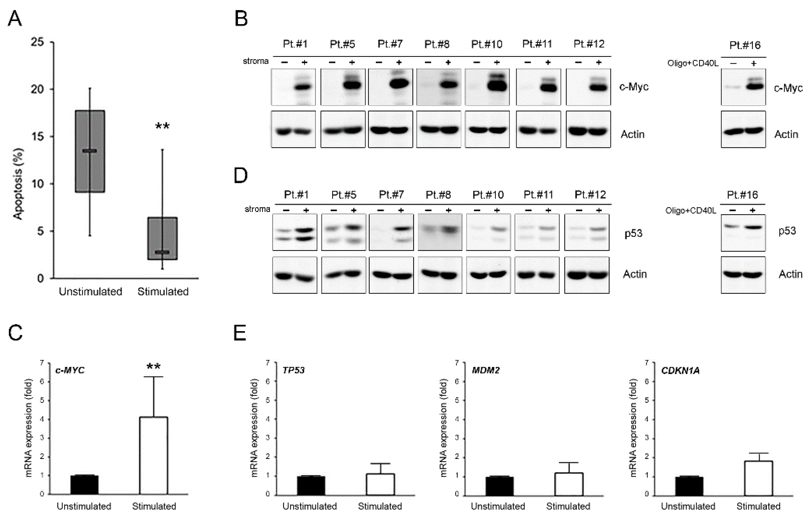 Curroncol 28 00223 g001