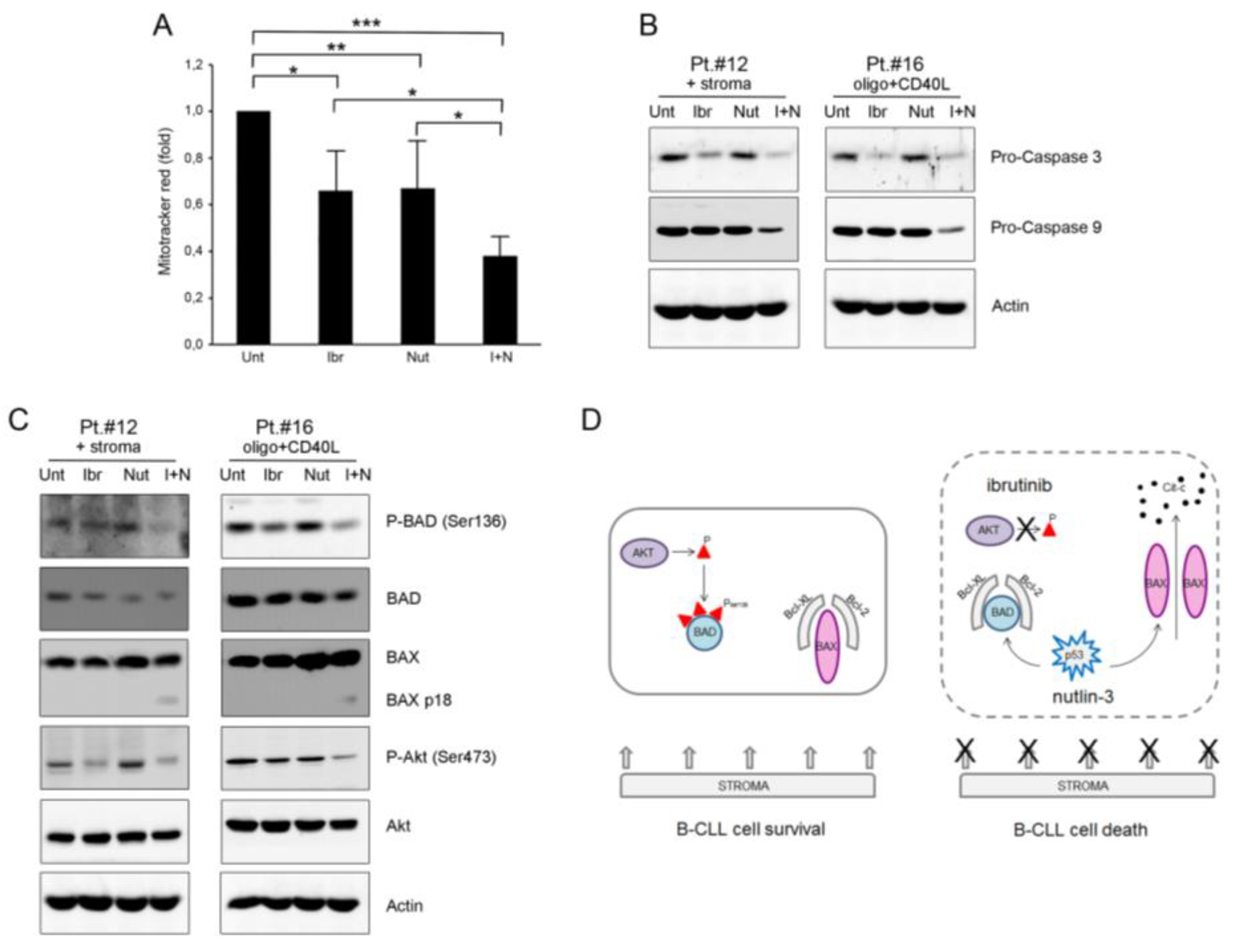 Curroncol 28 00223 g004