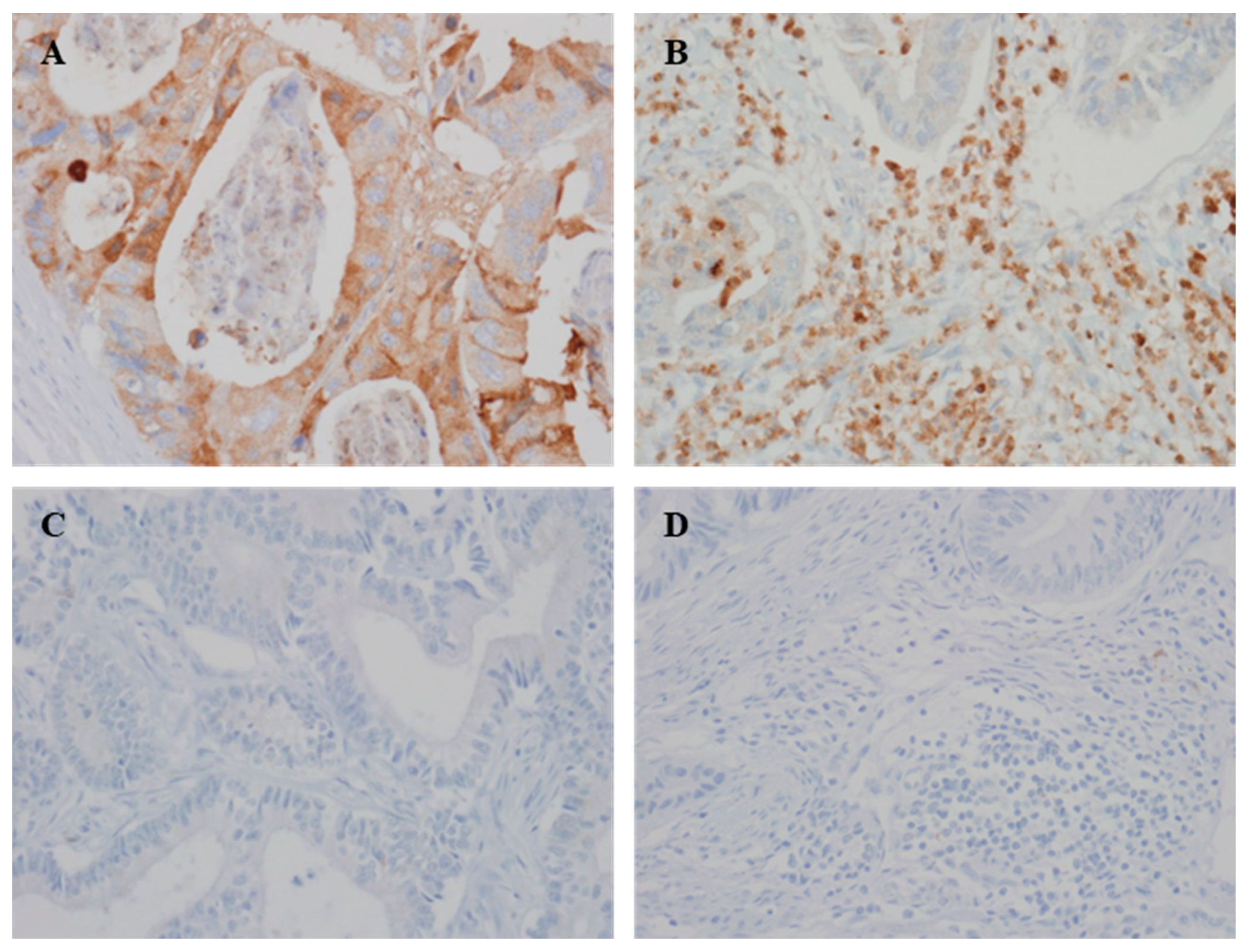 Curroncol 28 00274 g001