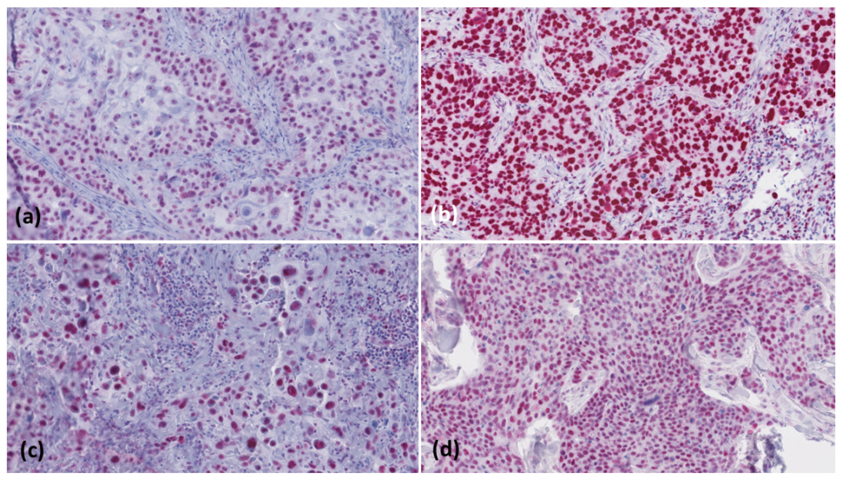 Curroncol 28 00287 g001