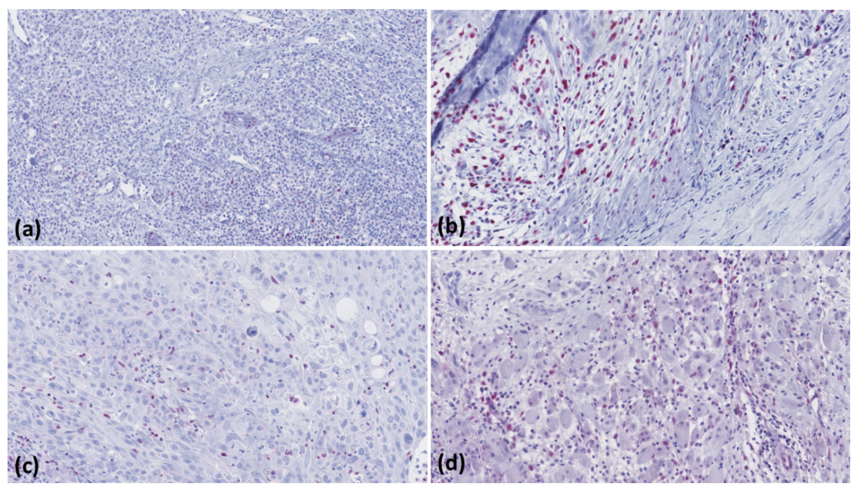 Curroncol 28 00287 g002