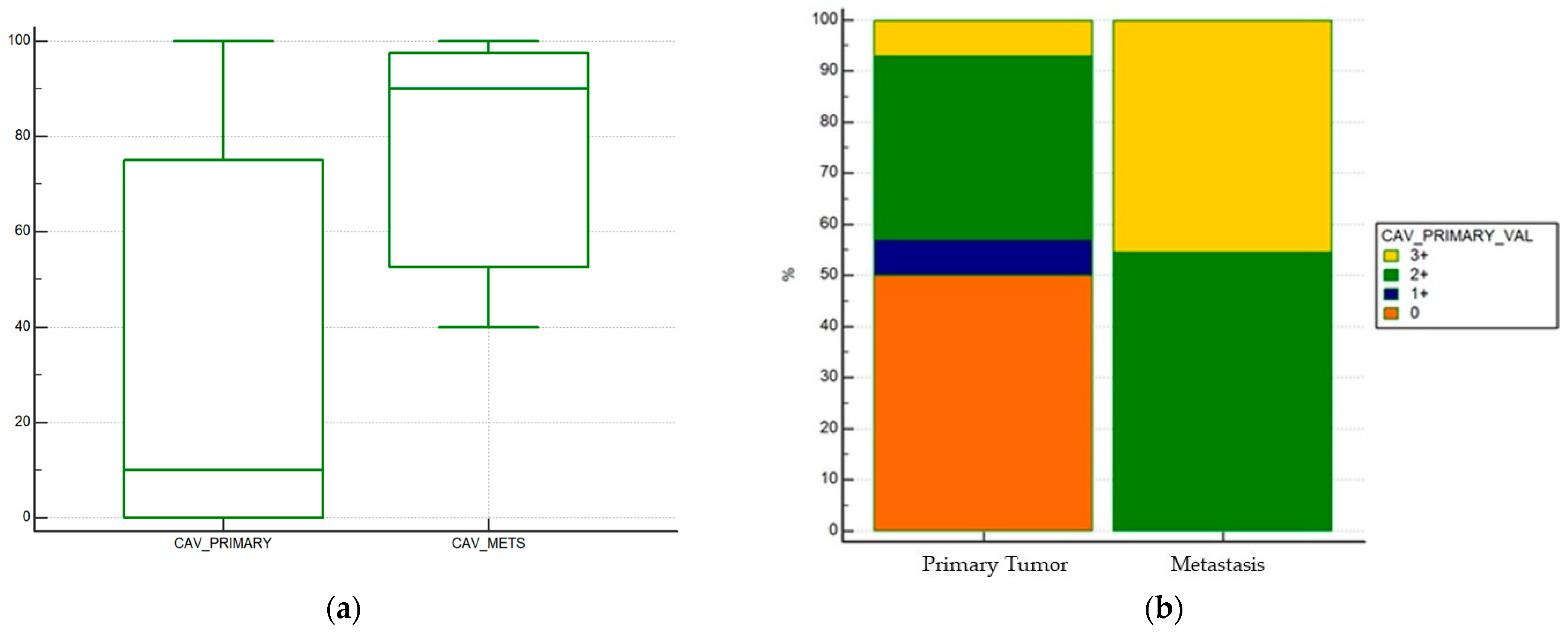 Curroncol 28 00303 g002