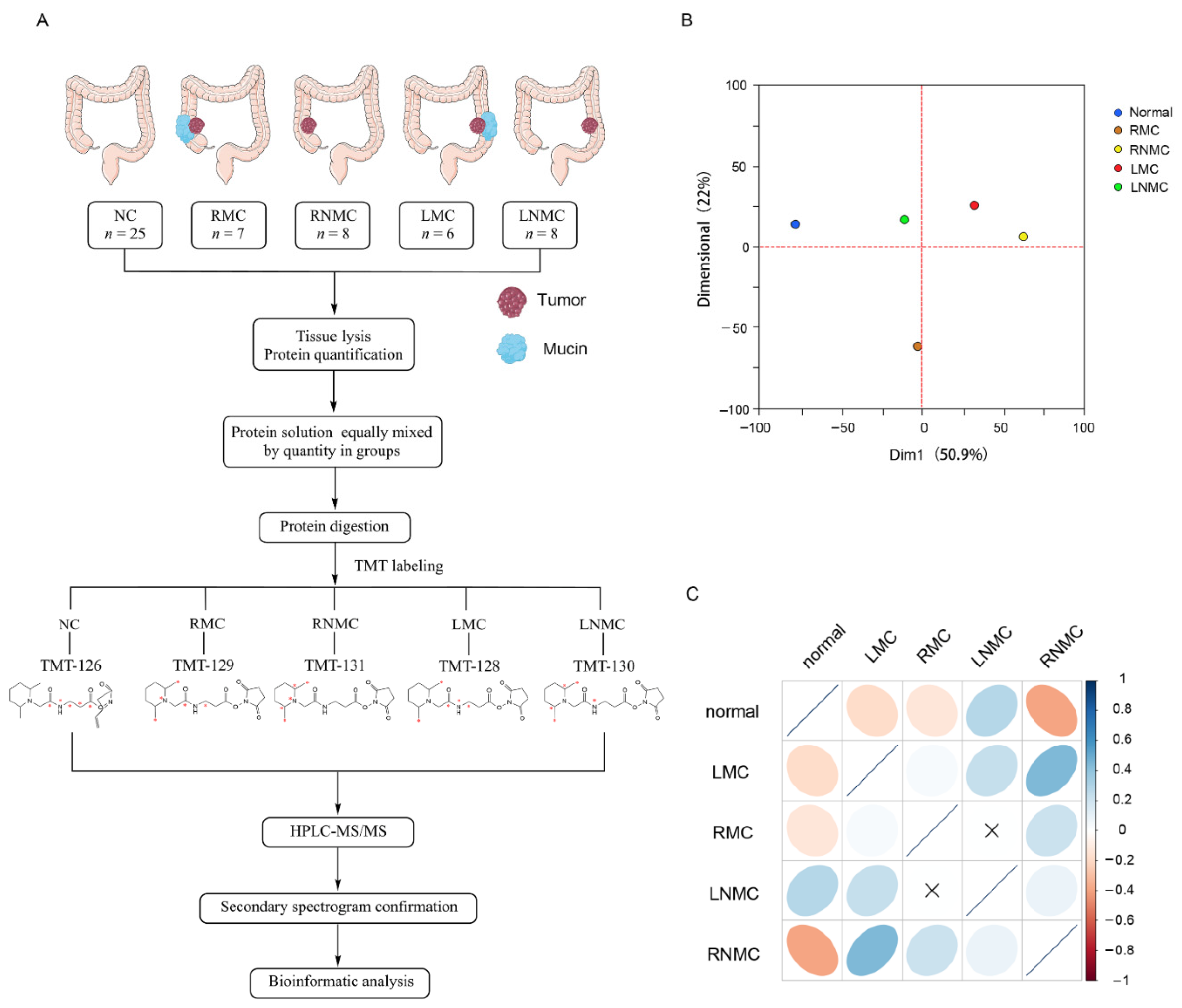 Curroncol 28 00305 g001 Curroncol 28 00305 g001