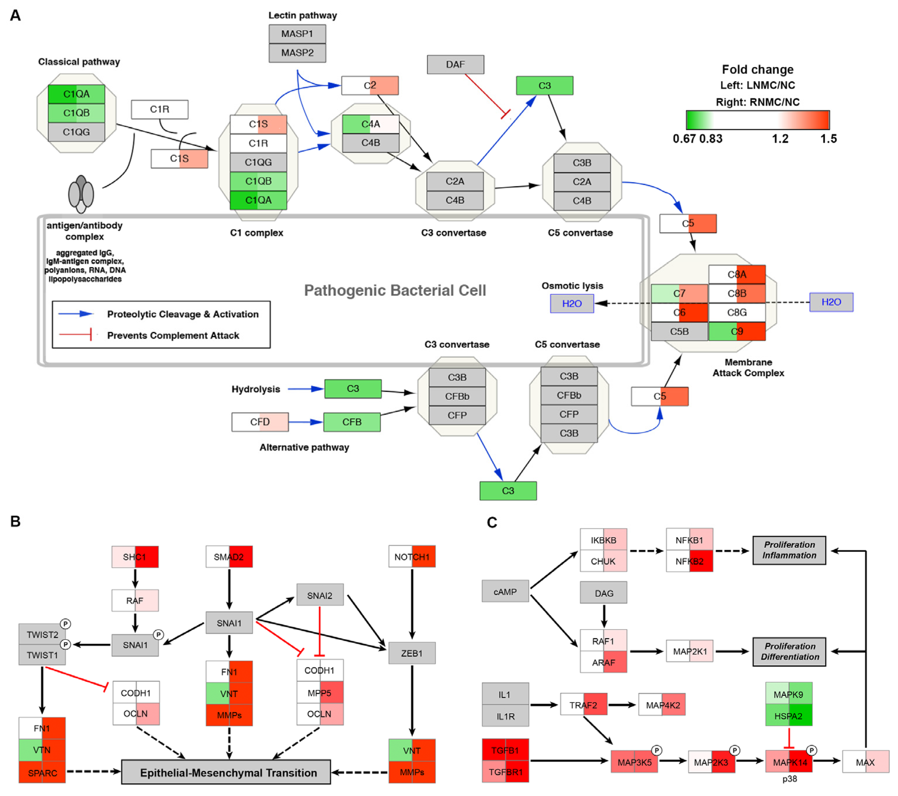 Curroncol 28 00305 g003 Curroncol 28 00305 g003