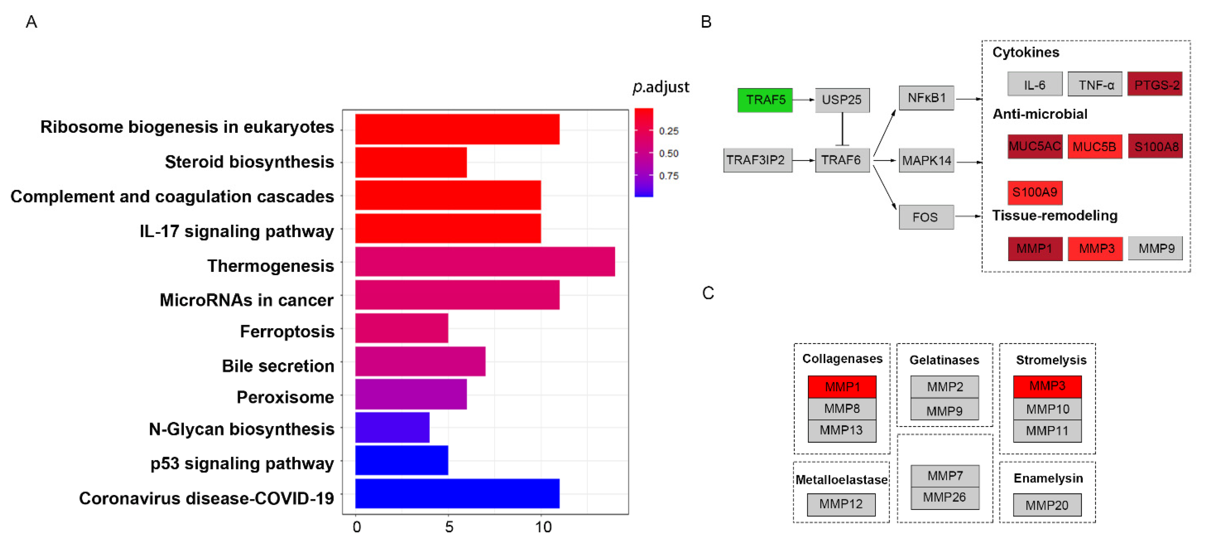 Curroncol 28 00305 g005 Curroncol 28 00305 g005
