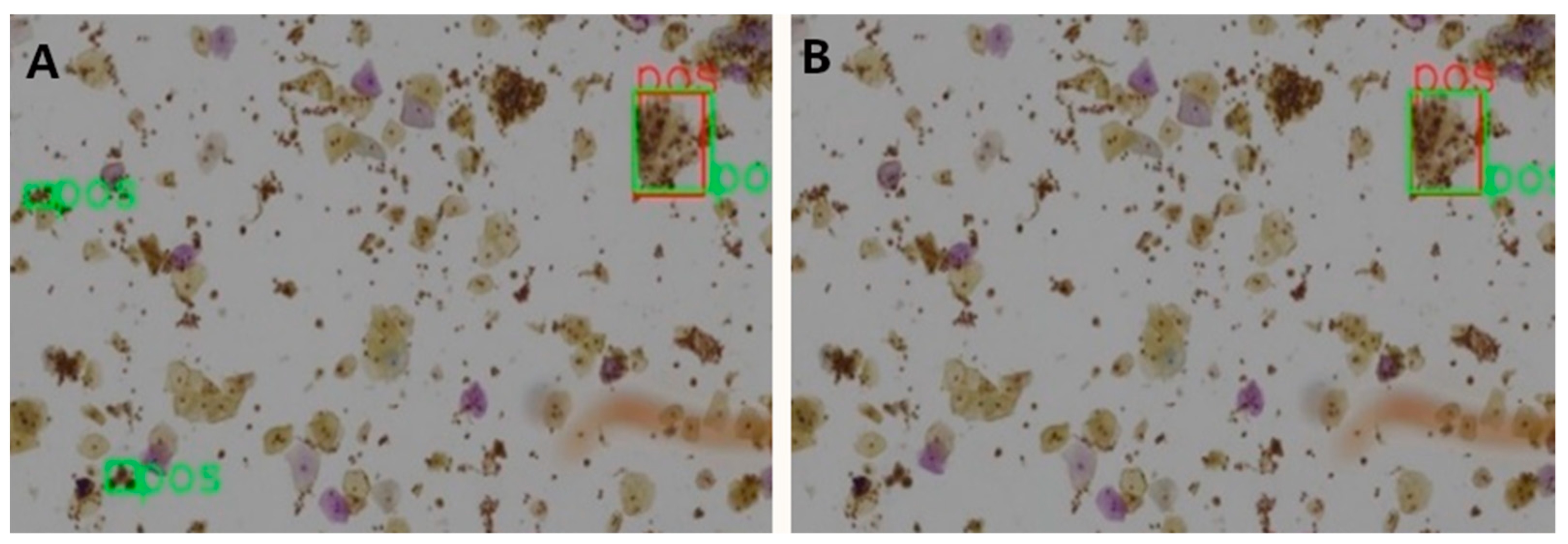 Curroncol 28 00307 g005 550