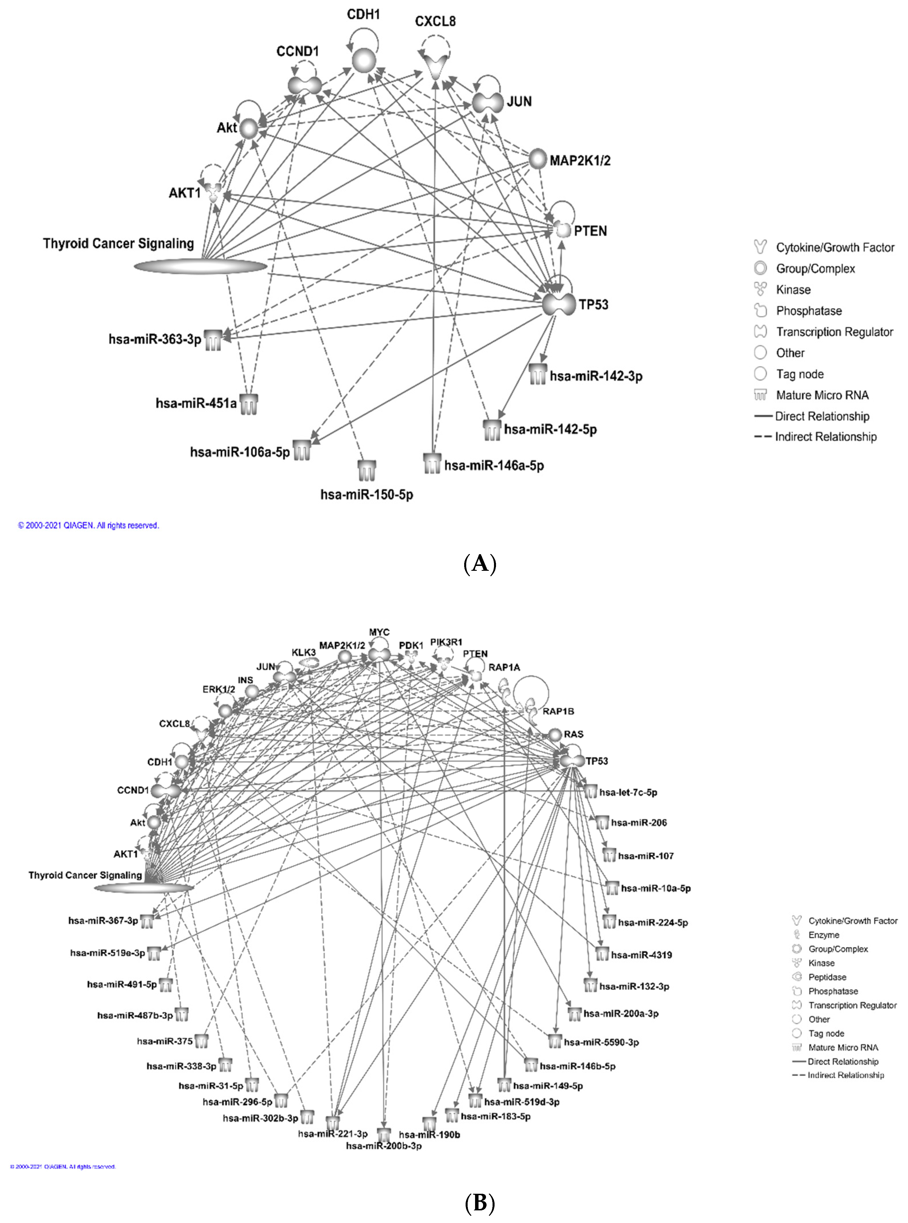 Curroncol 28 00309 g003