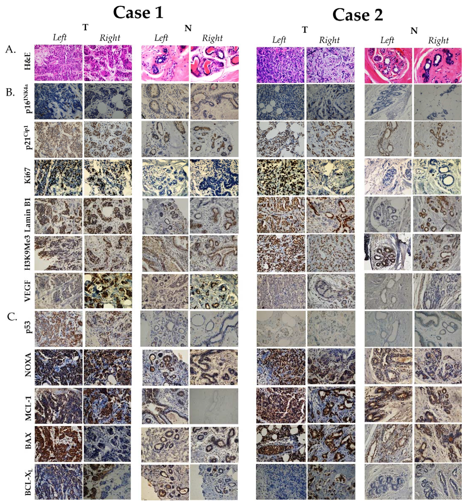 Curroncol 28 00327 g001