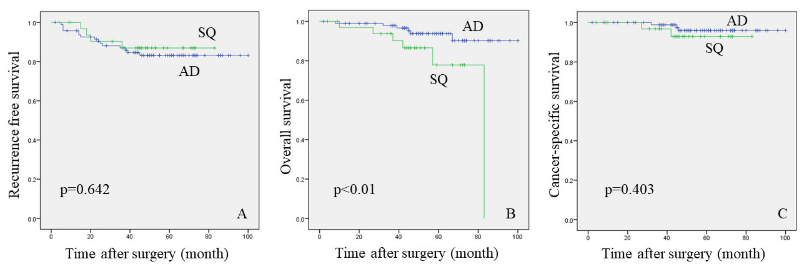 Curroncol 28 00328 g002